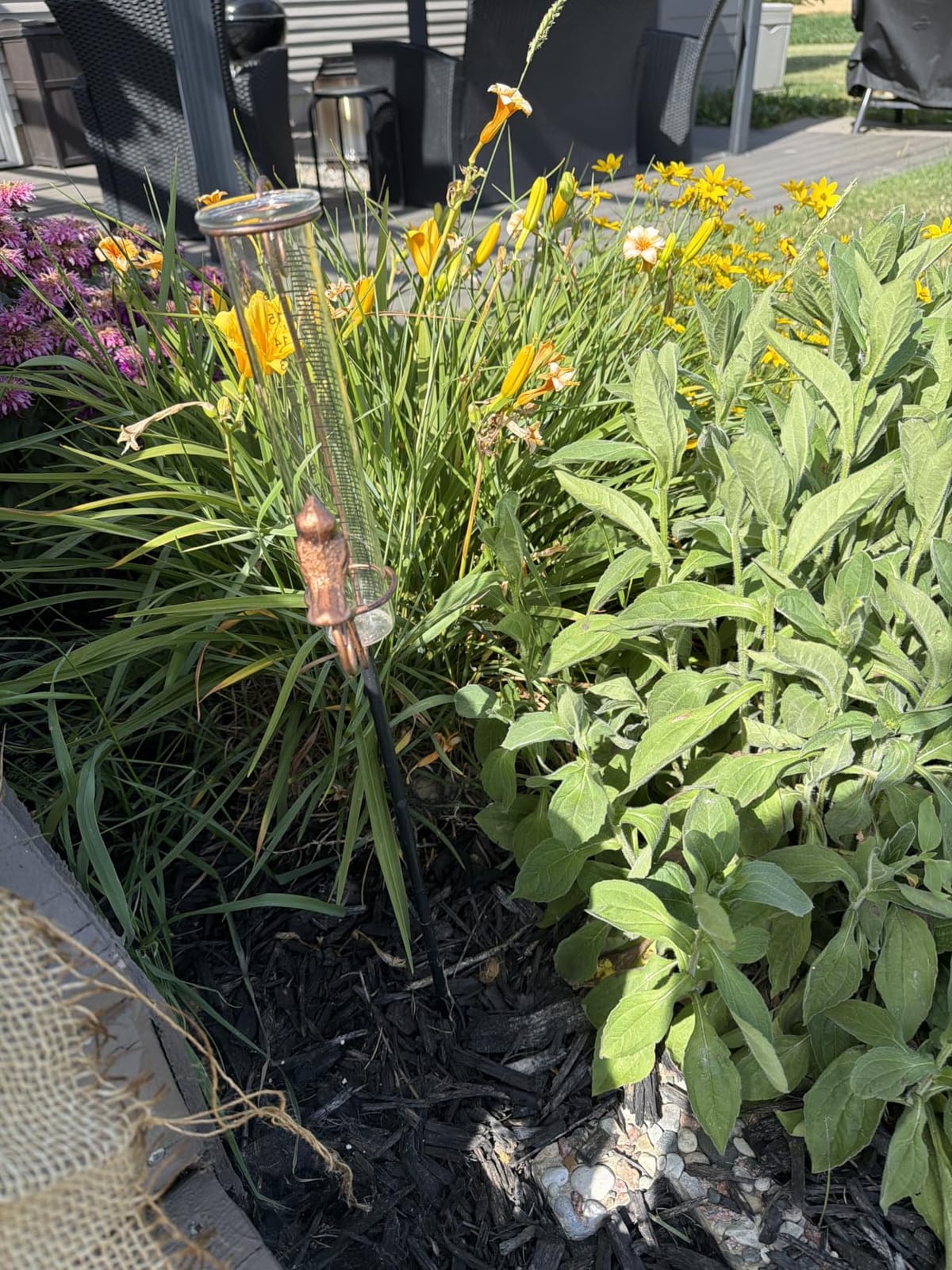 Rain Gauge Outdoor, 7 Inch Rain Gauges for Measuring Precipitation | Glass Tube, for Garden Yard Decor customer photo 2