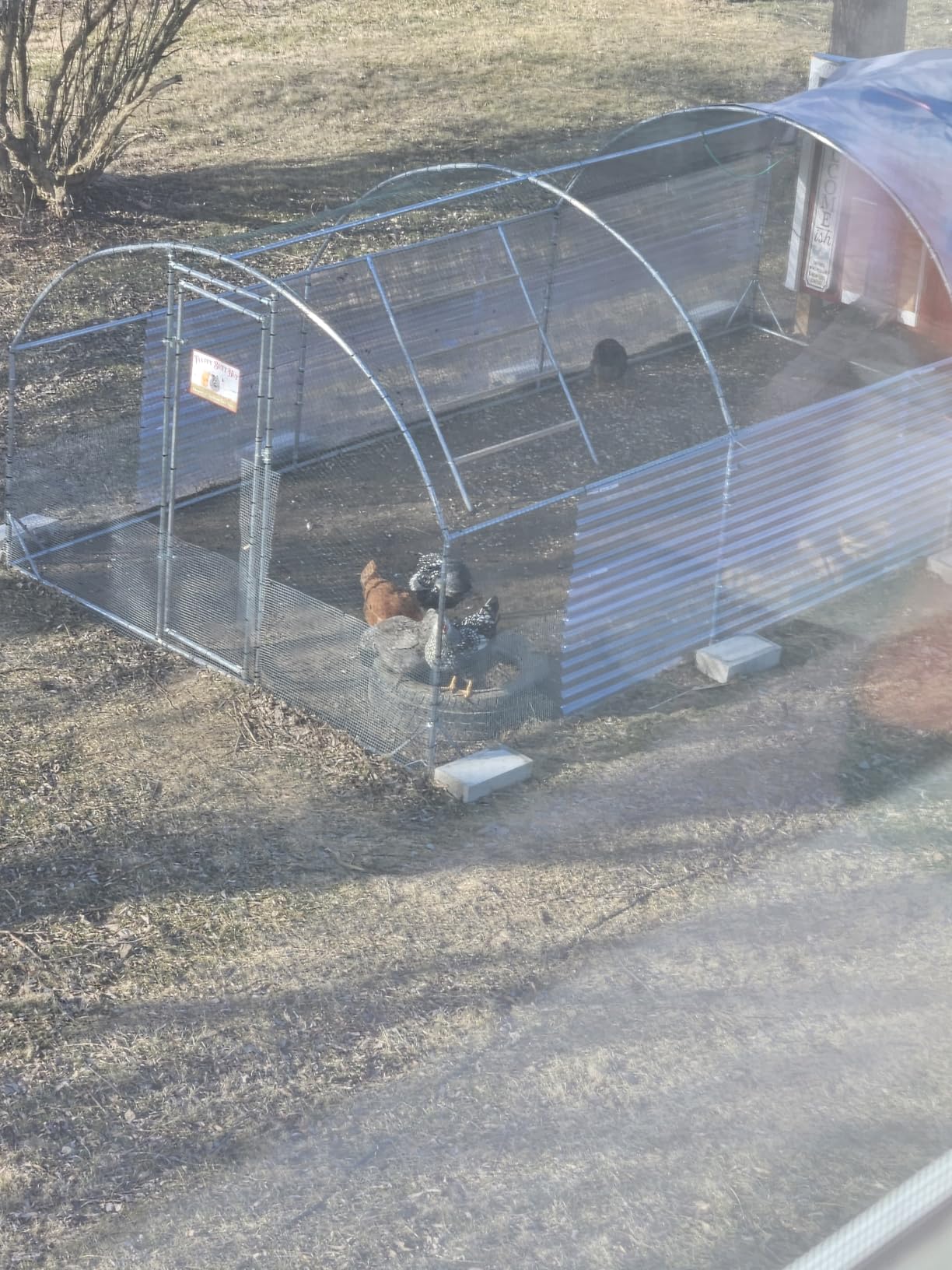 Large Metal Chicken Coop Round Top Upgrade Tri-Supporting Wire Mesh Chicken Run, Chicken Pen with Water-Resident and Anti-UV Cover, Duck Rabbit House Outdoor (13'L x 9'W x 6.5'H) customer photo 1