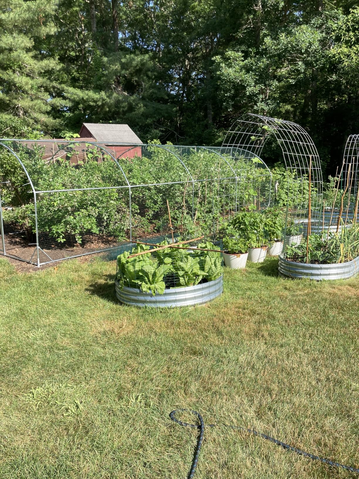 Large Metal Chicken Coop Round Top Upgrade Tri-Supporting Wire Mesh Chicken Run, Chicken Pen with Water-Resident and Anti-UV Cover, Duck Rabbit House Outdoor (13'L x 9'W x 6.5'H) customer photo 2