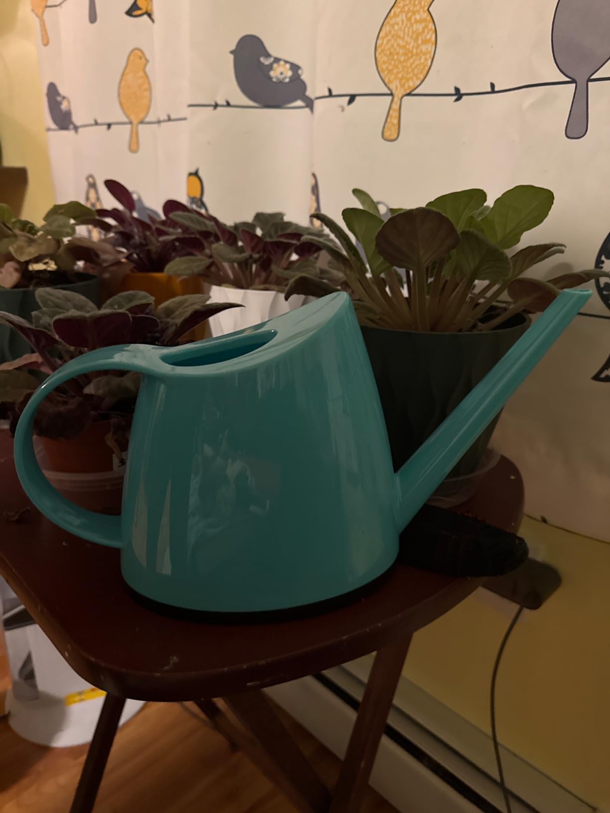 Small Indoor Plant Watering Can Long Spout 1.4L Black | Long Spout Prevents Spills Fits 5 Potted Bonsais Ergonomic Grip Precise Control Stylish Nordic Vibe Decor customer photo 2
