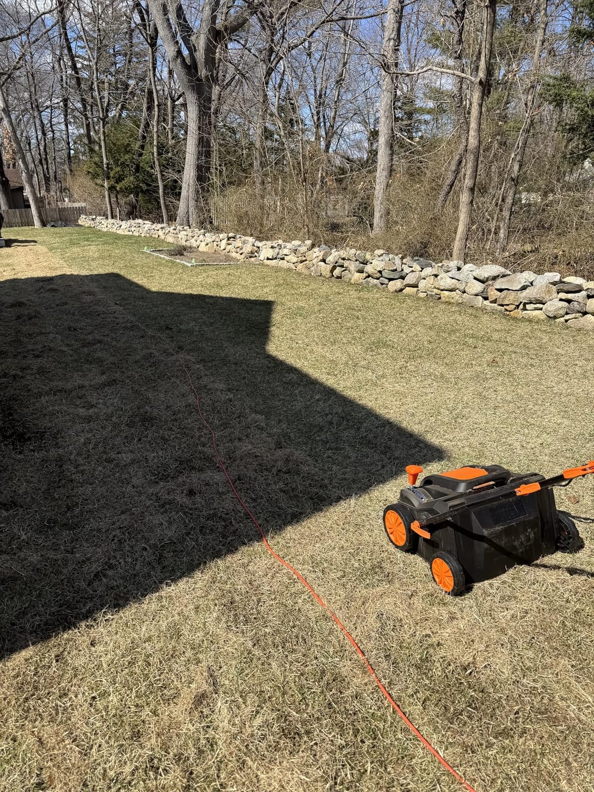 WEN DT1516 16-Inch 15-Amp 2-in-1 Electric Dethatcher and Scarifier with Collection Bag, Black customer photo 2