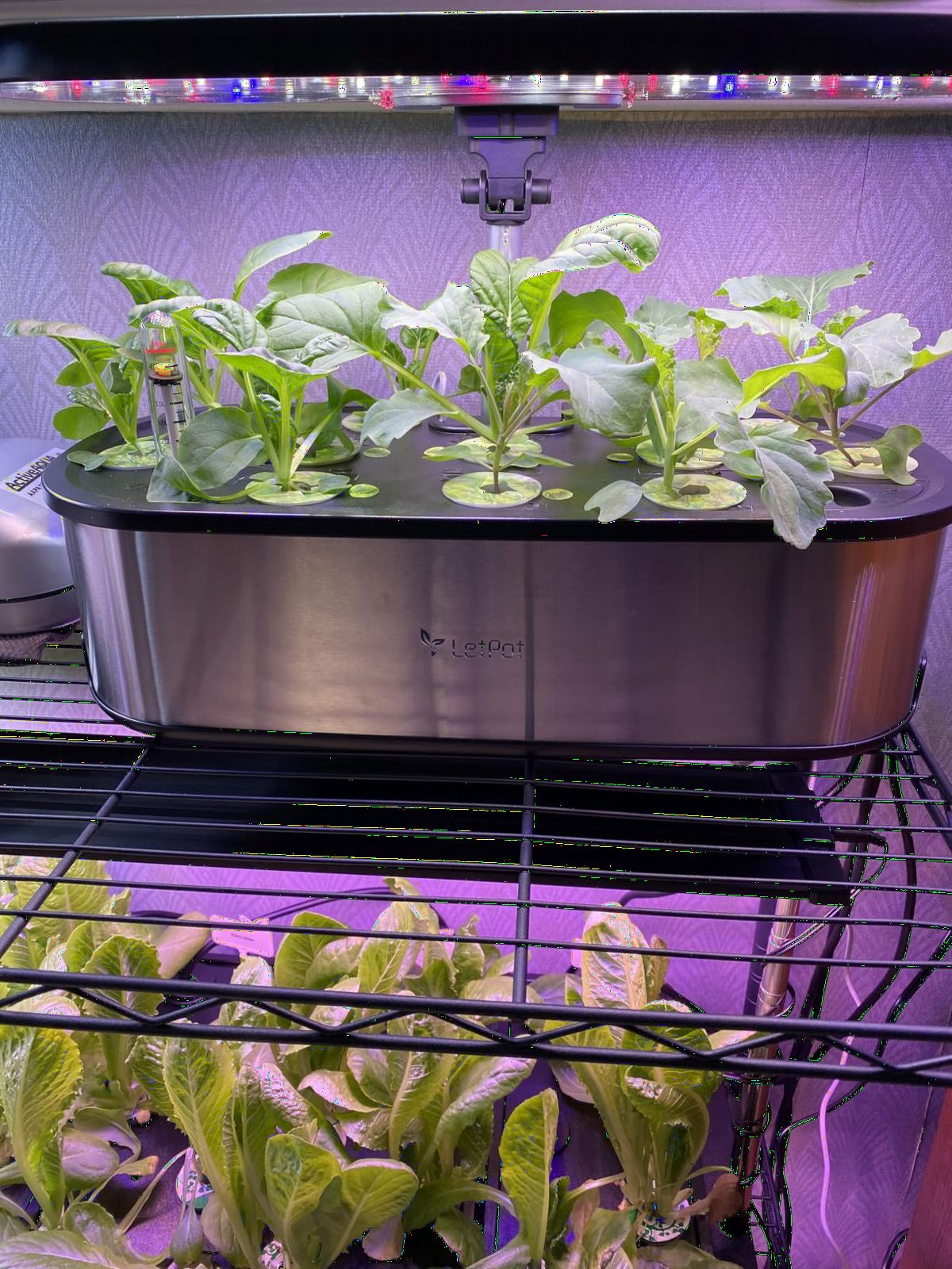 LETPOT LPH-SE Hydroponics Growing System, 12 Pods Smart Herb Garden Kit Indoor, APP & WiFi Controlled, with 24W Growing LED, 5.5L Water Tank, Pump System, Automatic Timer customer photo 1