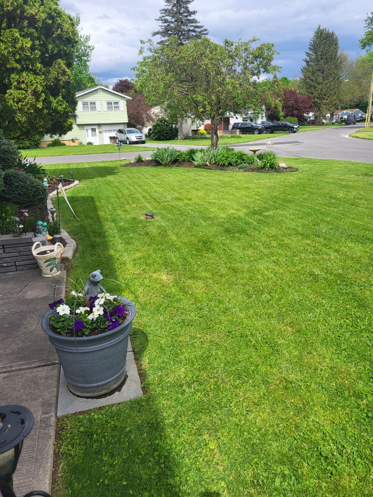 EGO Power+ Electric Lawn Mower, Self-Propelled Cordless with Touch Drive, Includes 56V 7.5Ah Battery and Rapid Charger – LM2125SP customer photo 1