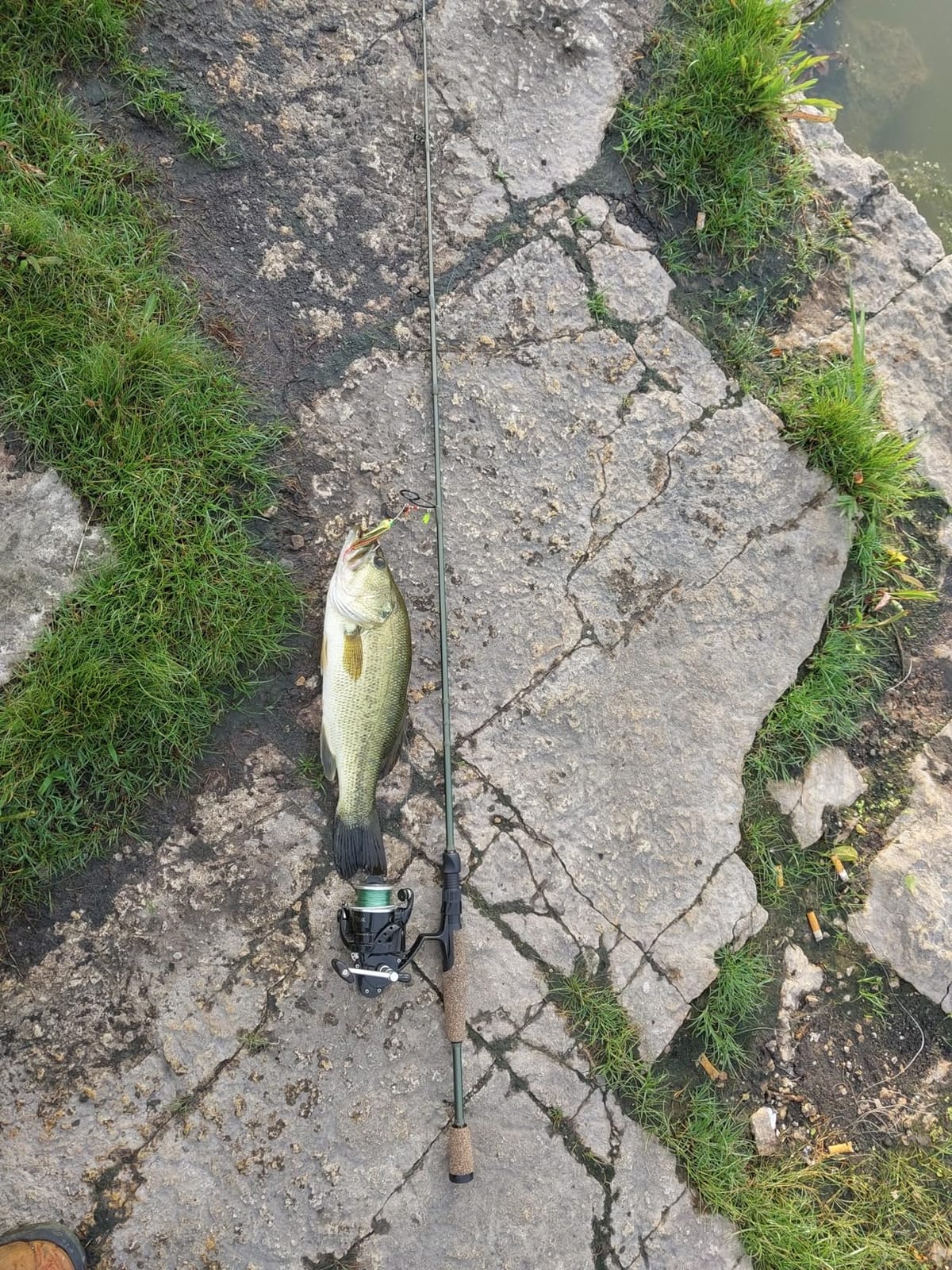 KastKing Spartacus II Fishing Rods - IM6 Graphite Blanks Casting & Spinning Rods, 2-Piece Rods with Extra Tip Section, PTS Power Transition System, KastFlex Technology, Rubber Cork Handle customer photo 2