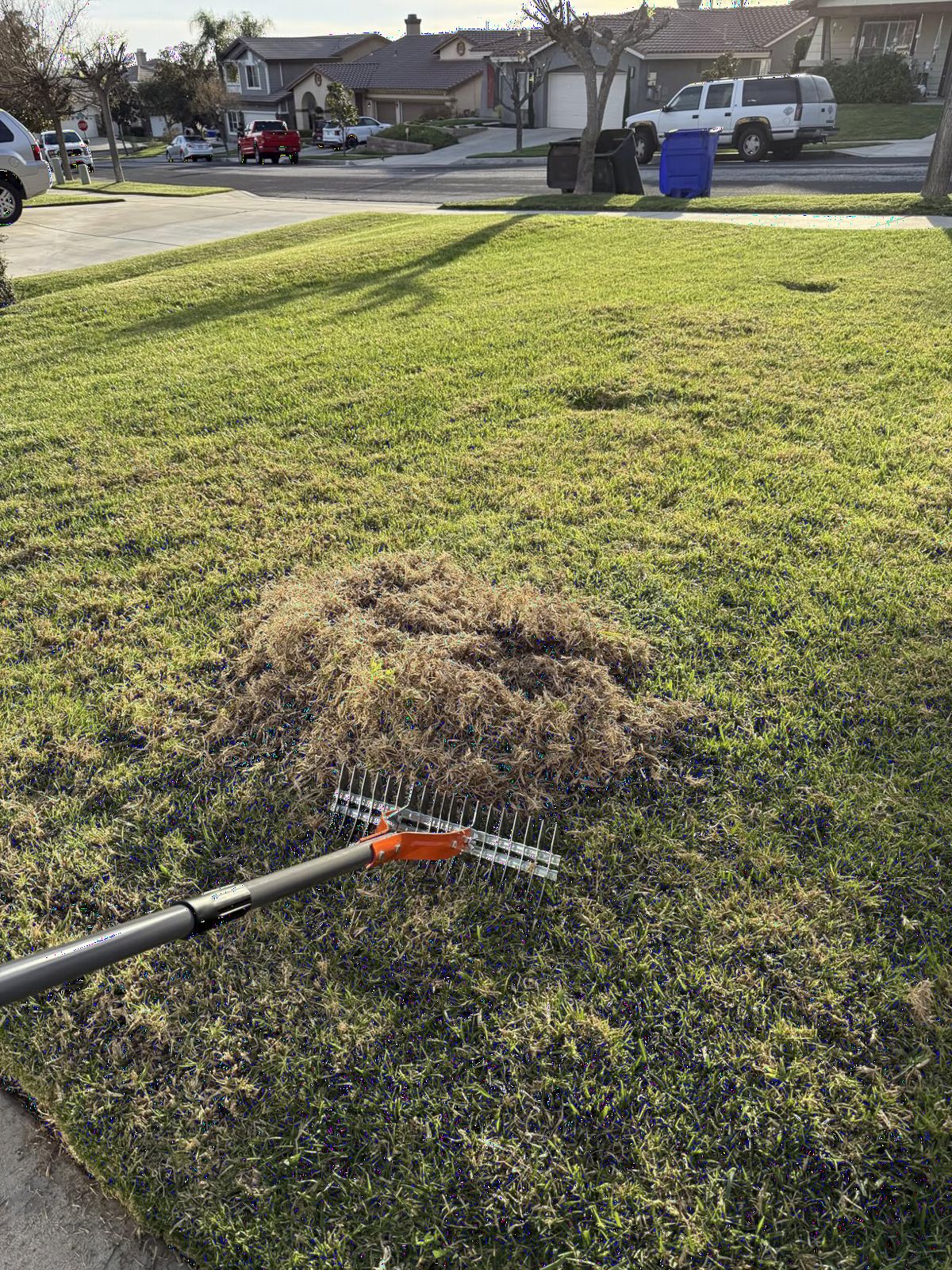 Walensee Thatch Rake for Lawn, 15-Inch Dethatcher Rake with Adjustable Sectional Handle, Heavy Duty Steel Lawn Rake for Removing Dead Grass, Efficient Grass Dethatching Tool for Yard and Garden customer photo 1