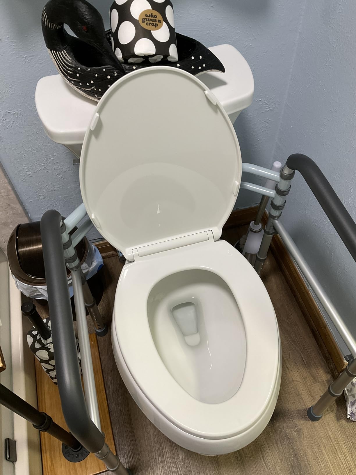 Lianjindun Toilet Safety Rails, 350 lbs, Adjustable Height & Width | Fits Most Toilets, Foldable Design, 350 Lbs Capacity, Aluminum Toilet Frame, Toilet Handles for Seniors, Disabled, Handicap customer photo 2