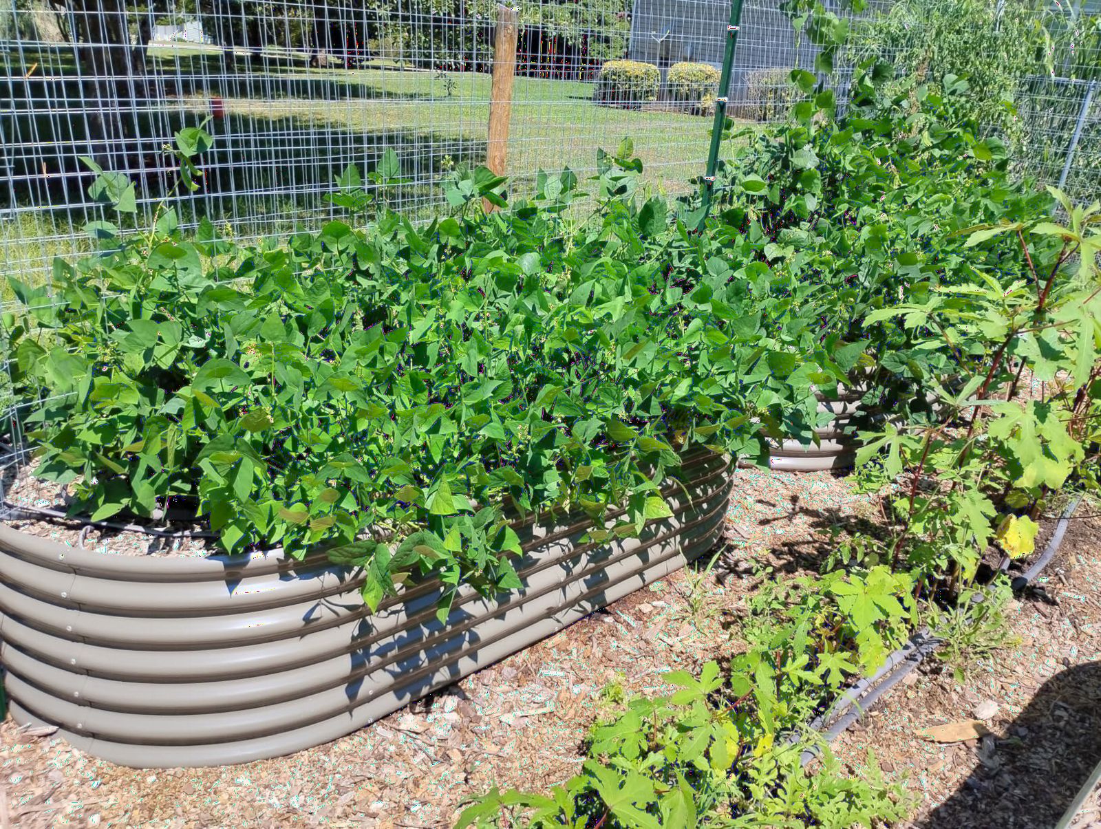 Anleolife 8x4x2ft Oval Deep Root Galvanized Raised Garden Bed, Quartz Grey | 478-Gallon Capacity, 24in Soil Depth, Interior Bracing and Broad Crop-Row Space for Tomatoes, Peppers and Seasonal Rotation customer photo 2