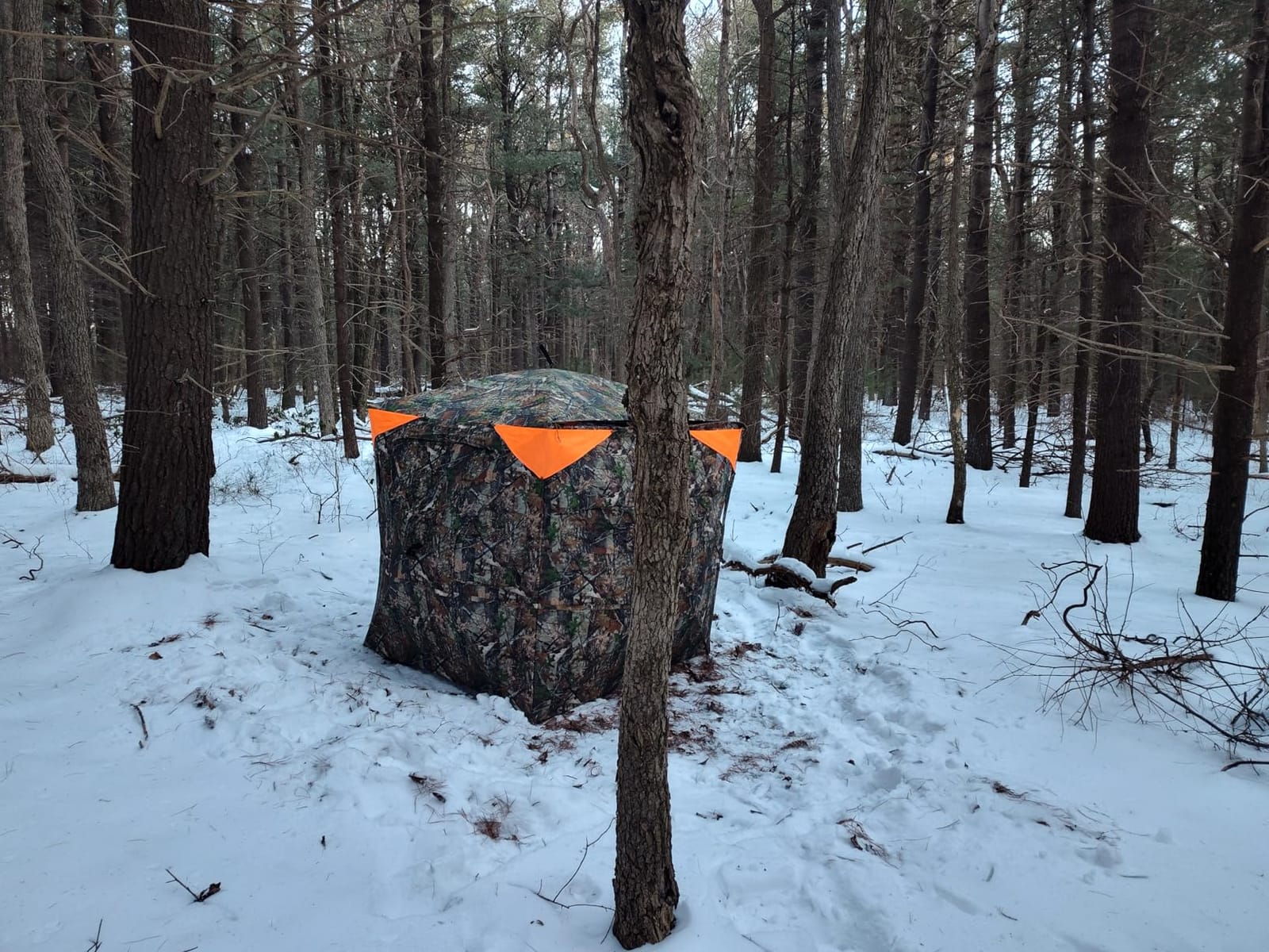 TIDEWE Hunting Blind 360 See Through, Pop Up Ground Blind with Large Door | Pop Up Tent with Large Door, Removable Curtain & Portable Carrying Bag, Quiet Sliding Windows for Deer Turkey Hunting customer photo 1