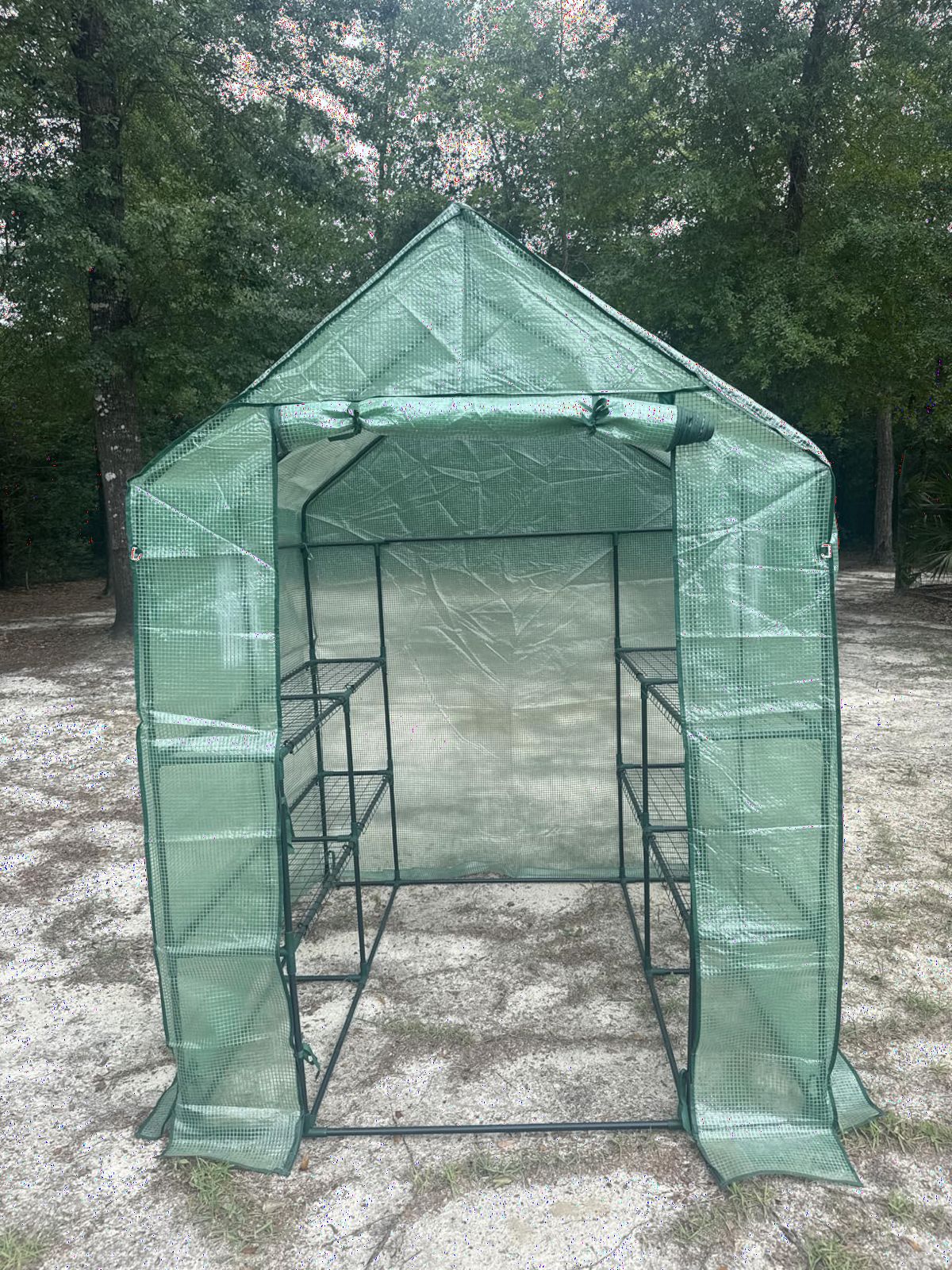 SPECILITE 56×56×78Inch Walk-in Greenhouse for Outdoors Garden Plant, Green customer photo 1