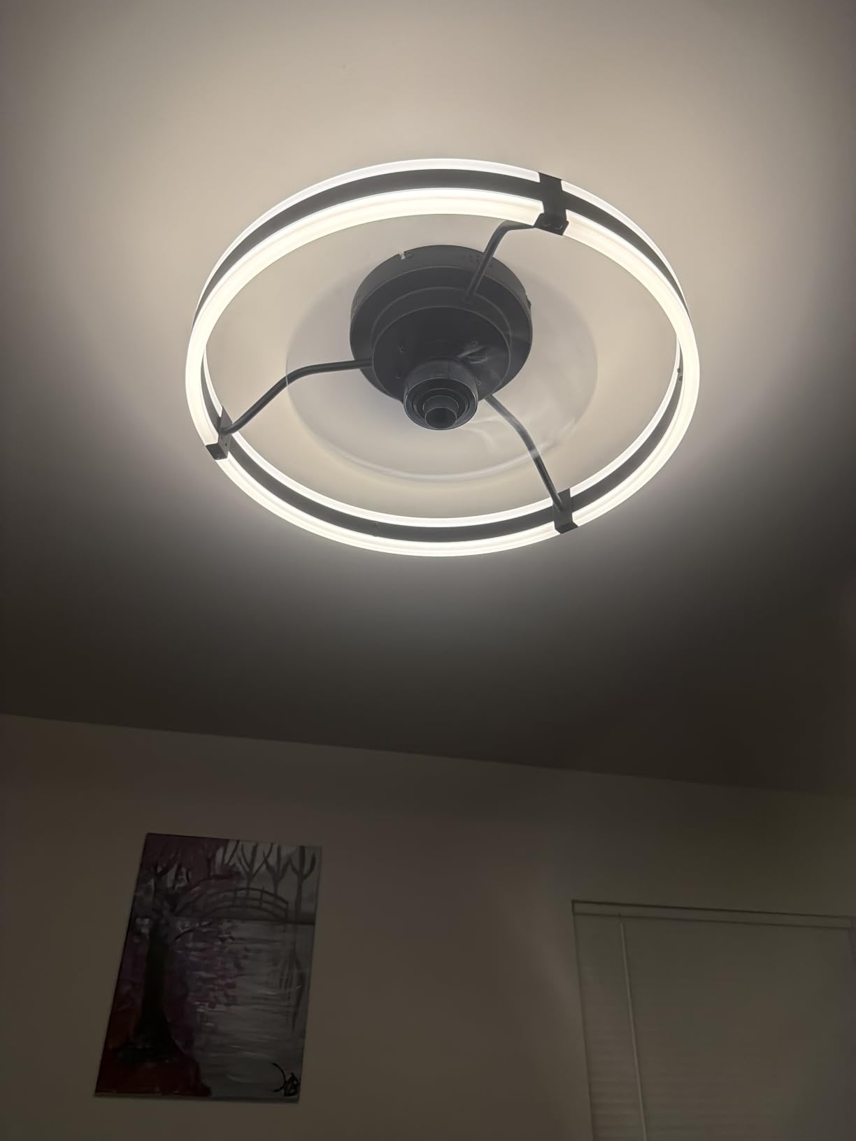 ZMISHIBO Low Profile 19.7'' Ceiling Fans with Lights and Remote, Black | 3000-6000K Dimmable LED Fandelier, Quiet DC Motor, Reversible Airflow, 6 Wind Speeds, Timer, Bedroom, Living Room, Kitchen customer photo 2