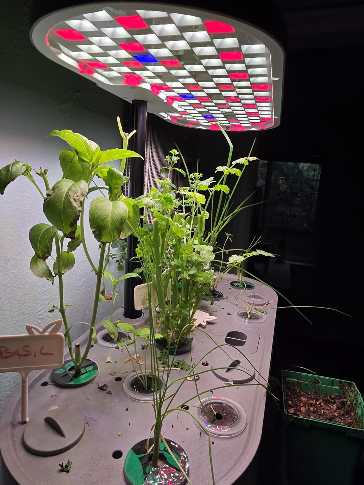 Growell Hydroponics Growing System Kit, 16 Pods Indoor Garden with 28W Full Spectrum LED Grow Light, Auto Timer, 3 Smart Light Modes, 8L Large Herb Garden, Ideal Gardening Gift for Women, Men (Black) customer photo 1
