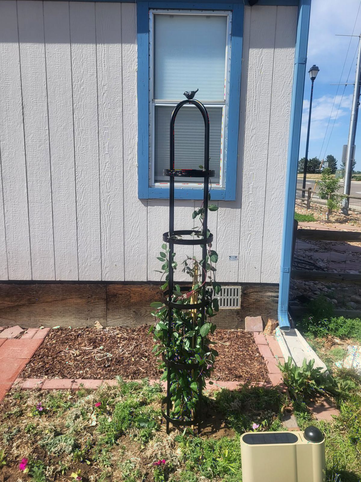 Evergreen 7 ft Garden Trellis for Climbing Plants Outdoor Metal Garden Obelisk, Indoor Plant Trellis for Potted Plants & Heavy Vines Support, Bronze customer photo 1
