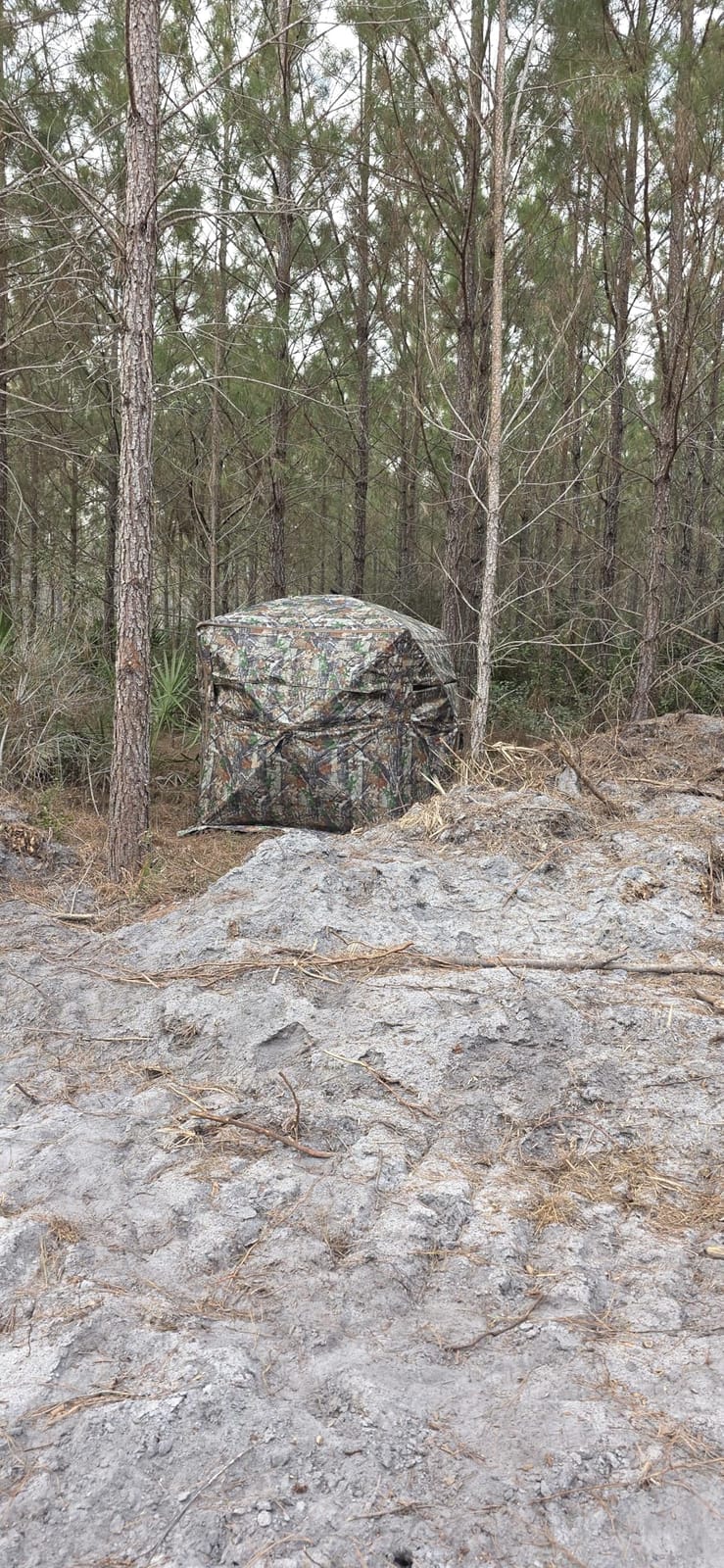 360 Degree See Through Pop Up Hunting Blind, 1-2 & 3-4 Person | Ground Blind for Deer and Turkey, with Single/Double Doors, Mud Flap and Portable Carry Bag customer photo 1