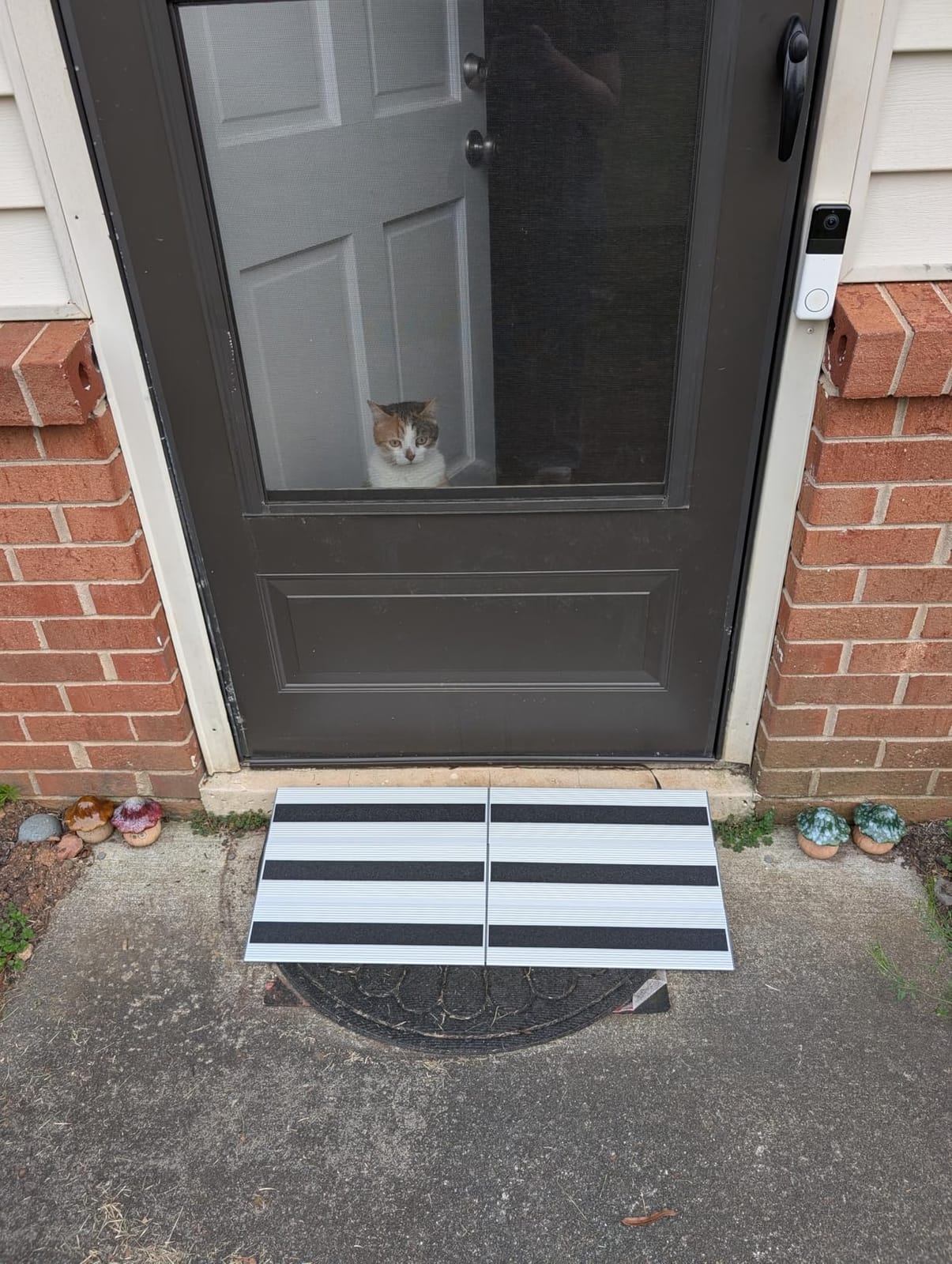 3 Inch Threshold Ramps for Doorways, Wheelchair Ramp for Home Steps | 31.5 in Wide, Modular Aluminum Panels, 1100 lb Capacity, Curb and Step Access, Scooters and Power Chairs, Indoor/Outdoor Use customer photo 2