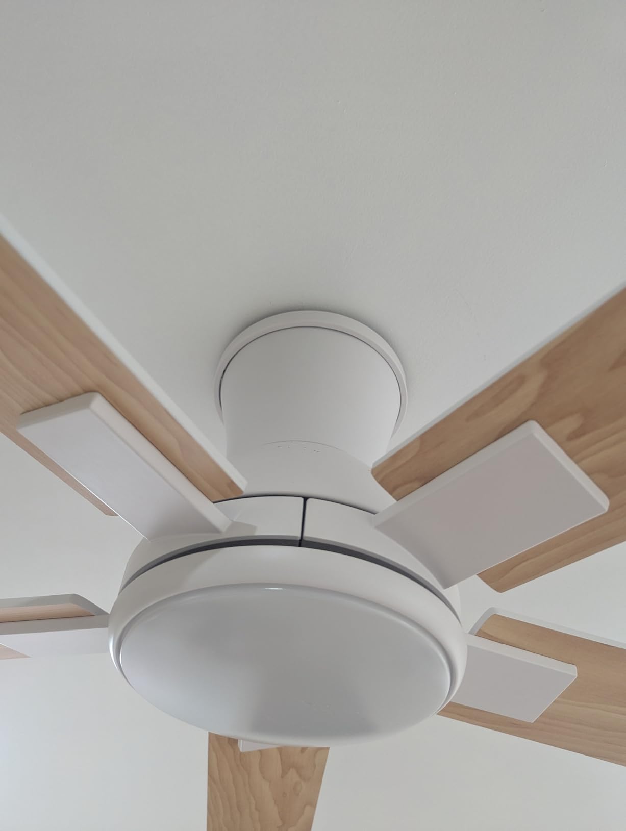 52 Inch Black Ceiling Fans with Lights and Remote customer photo 1