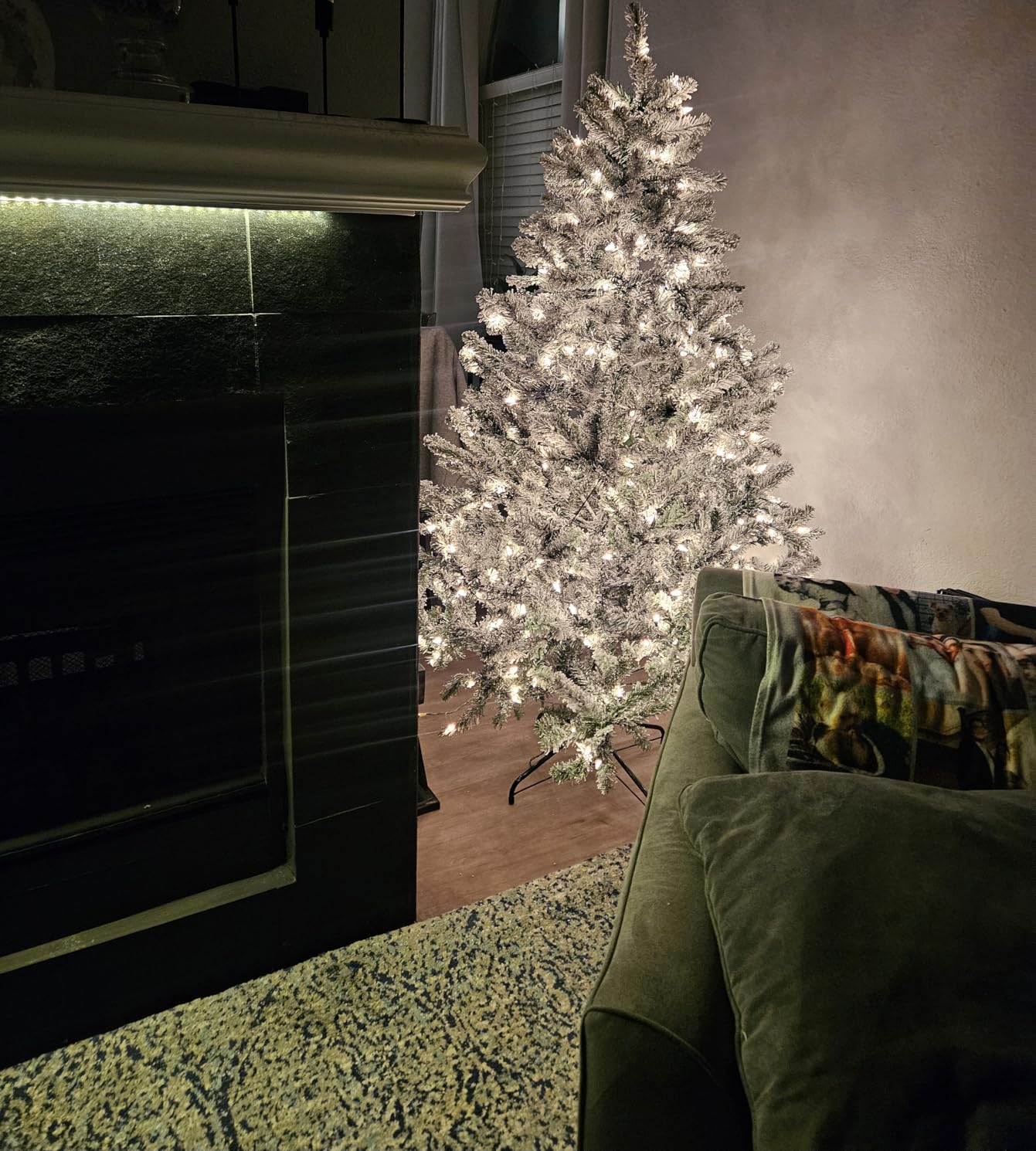 National Tree Company 7.5 ft Pre-Lit Flocked Acacia Artificial Christmas Tree, 550 Clear Lights, 1,300 Branch Tips, Includes Stand, Green customer photo 1
