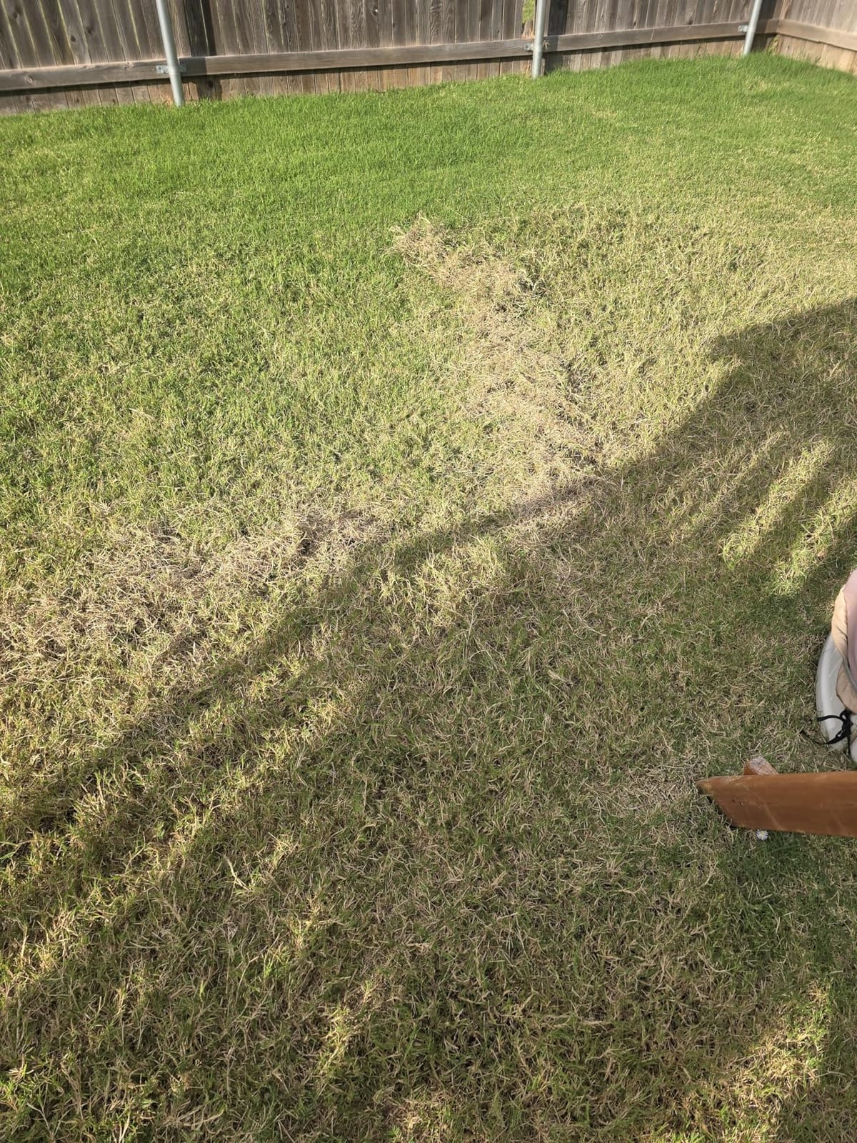 Dual-Action Thatch Rake for Lawn - Efficient 15