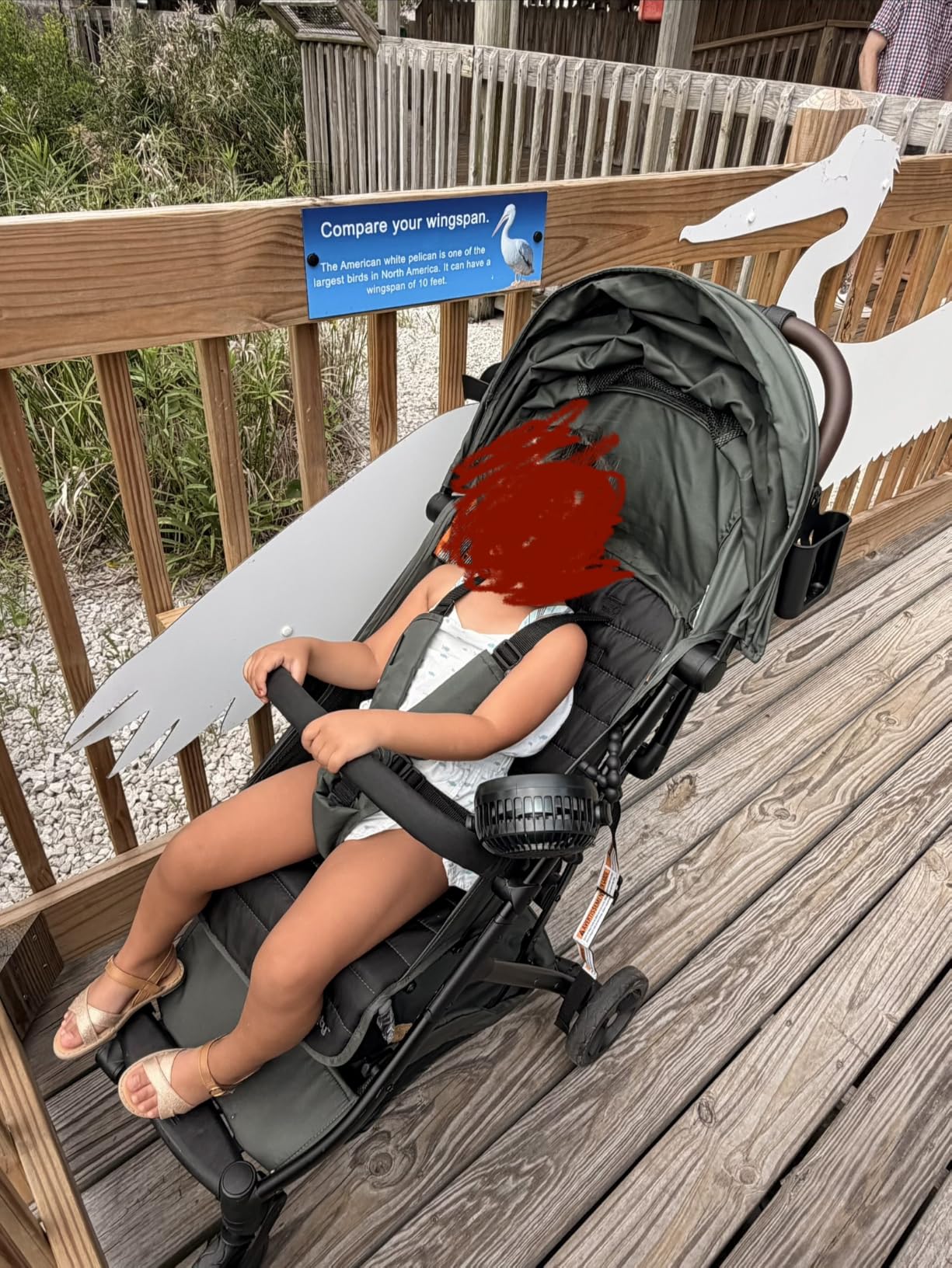 Ingenuity 3Dquickclose CS+ Compact Fold Stroller - Lightweight Stroller with Oversized Canopy, Extra-Large Storage and Compact Fold, Black customer photo 1