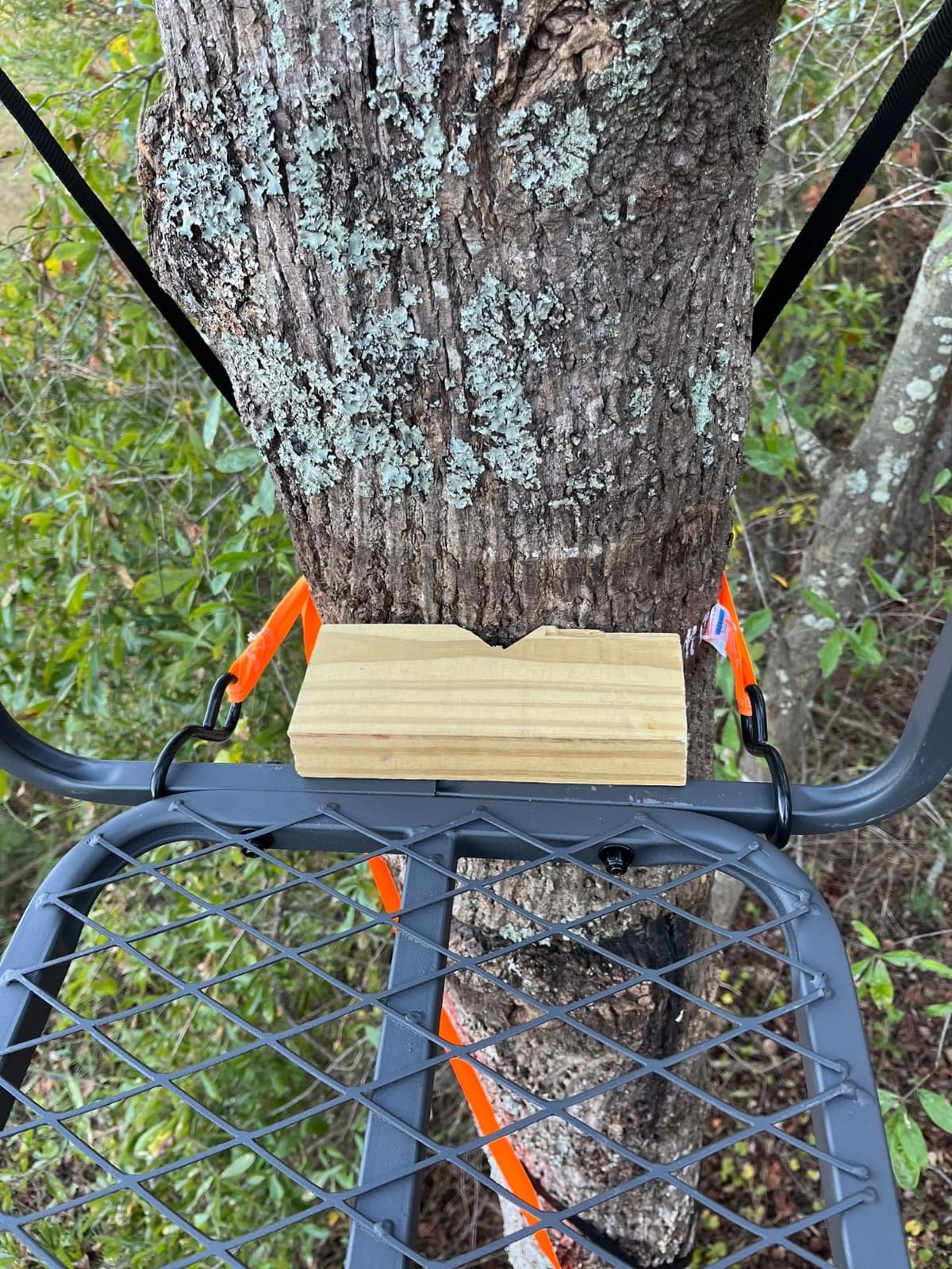 Guide Gear 15.5' Ladder Tree Stand for Hunting with Mesh Seat customer photo 2