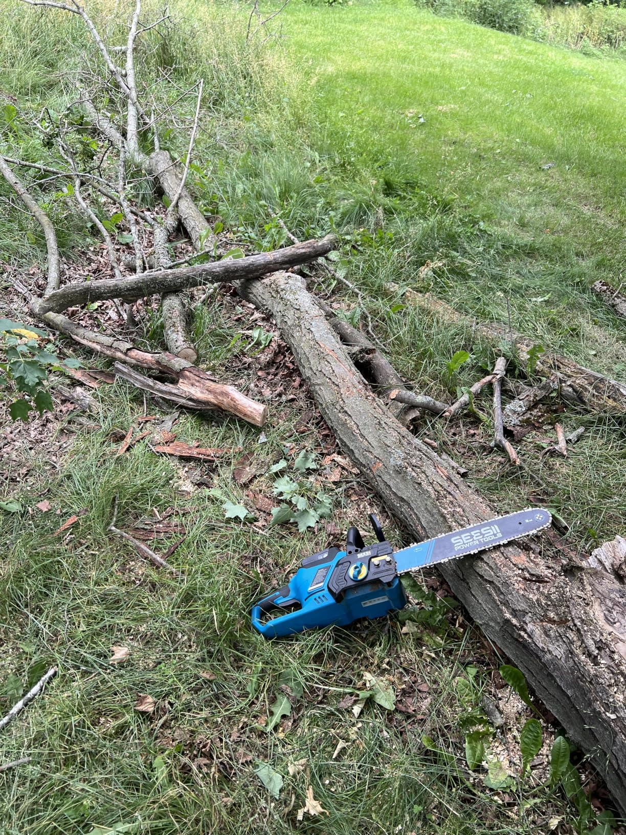 SEESII 40V 16-Inch Cordless Chainsaw: Brushless Electric Chain Saws with 2×4.0Ah Batteries & Charger, Tool-Free Chain Tension, Auto Oiling, for Tree Trimming, Wood Cutting, Yard Work customer photo 2