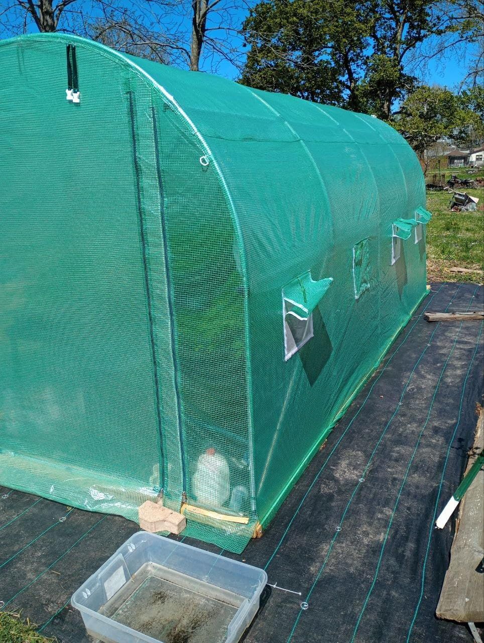 KING BIRD Premium 20x10x6.6FT Greenhouse for Outdoors Large Walk-in House customer photo 2