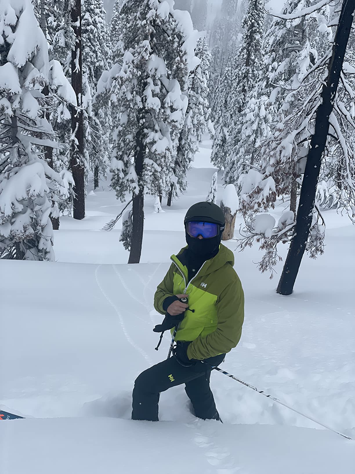 Helly-Hansen Mens Alpha LIFAloft Pant customer photo 1