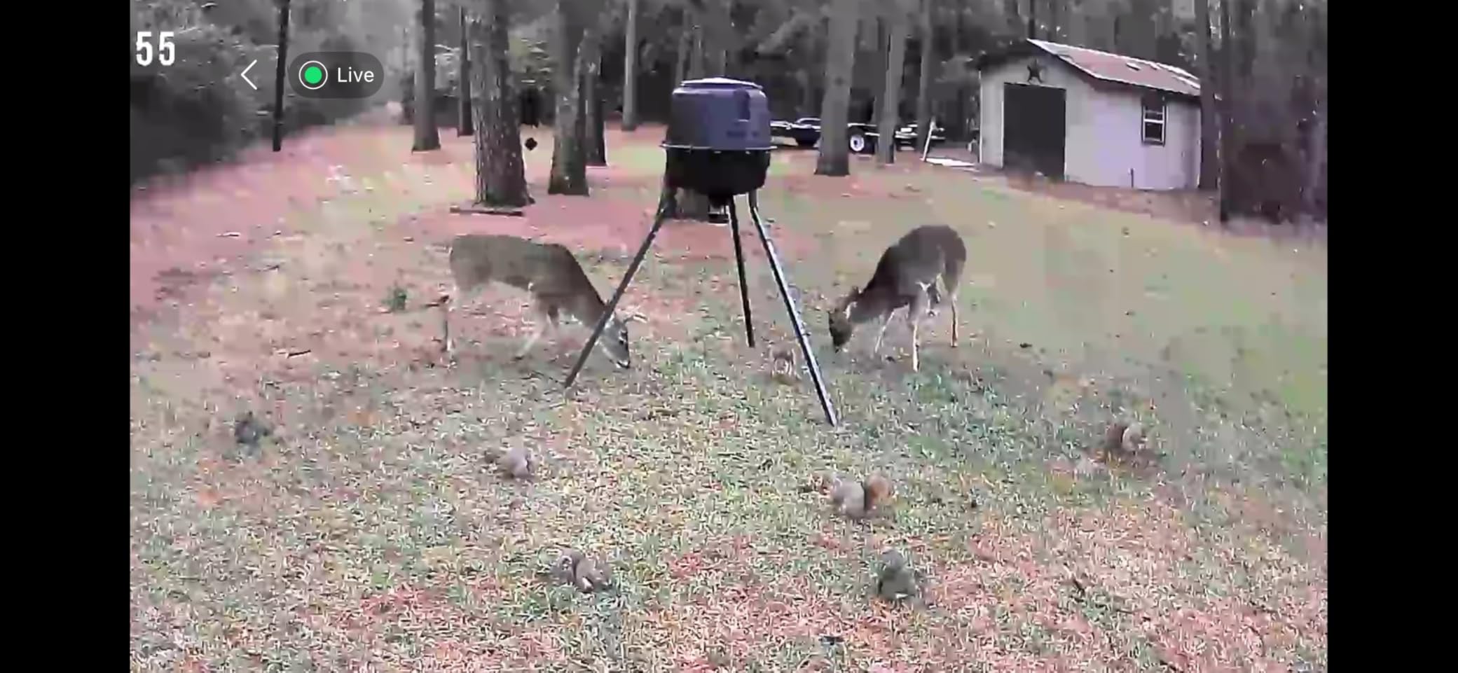 Moultrie 200 Lb Deer Feeder Standard - Bluetooth App Control, Pairs with Edge 3 for Full Remote Access, No Subscription customer photo 1
