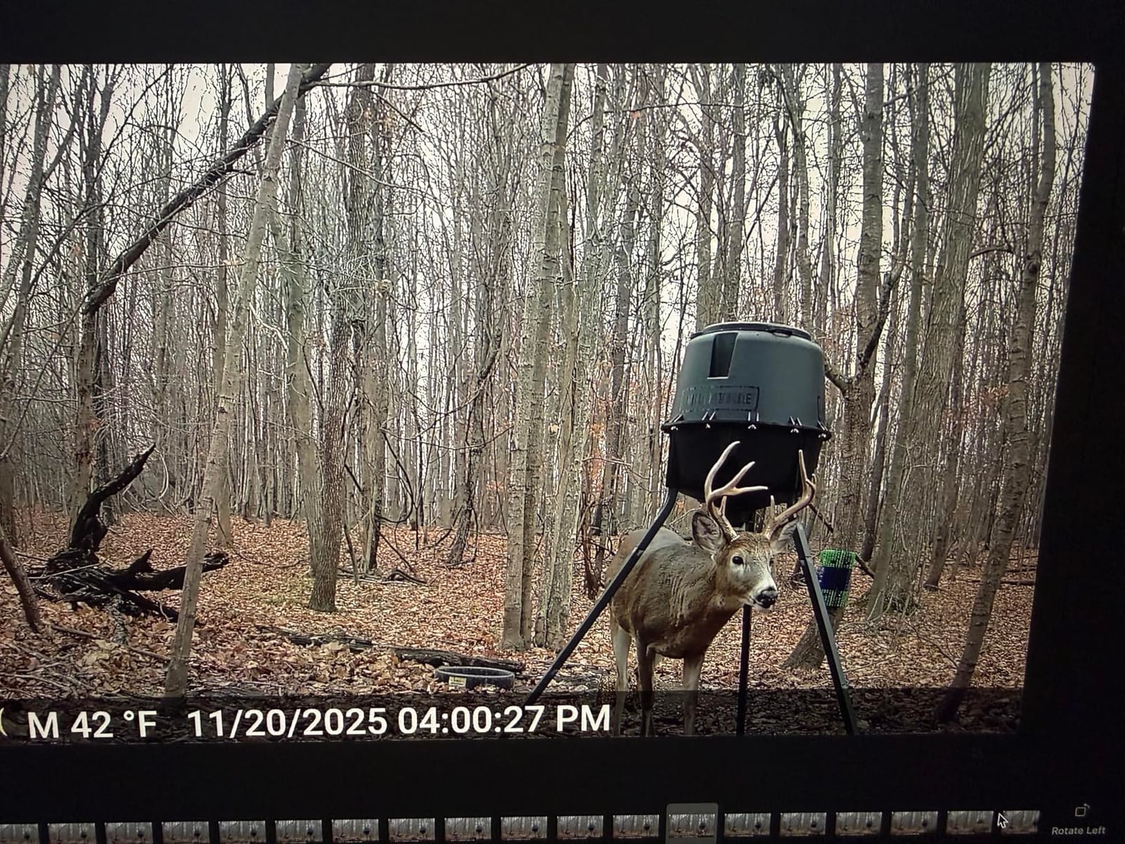 Moultrie 200 Lb Deer Feeder Standard - Bluetooth App Control, Pairs with Edge 3 for Full Remote Access, No Subscription customer photo 2
