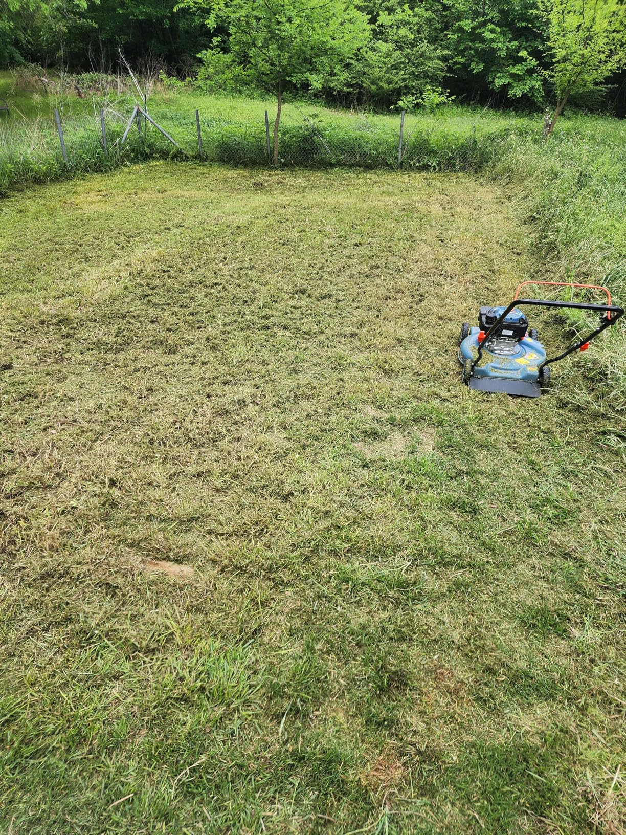 SENIX 22'' Self Propelled Gas Lawn Mower, 170cc Gas Lawnmower,Easy Start | 22'' Self Propelled Gas Lawn Mower,4-Cycle Engine,3-in-1 (Bagging/Mulching/Side Discharge) customer photo 1