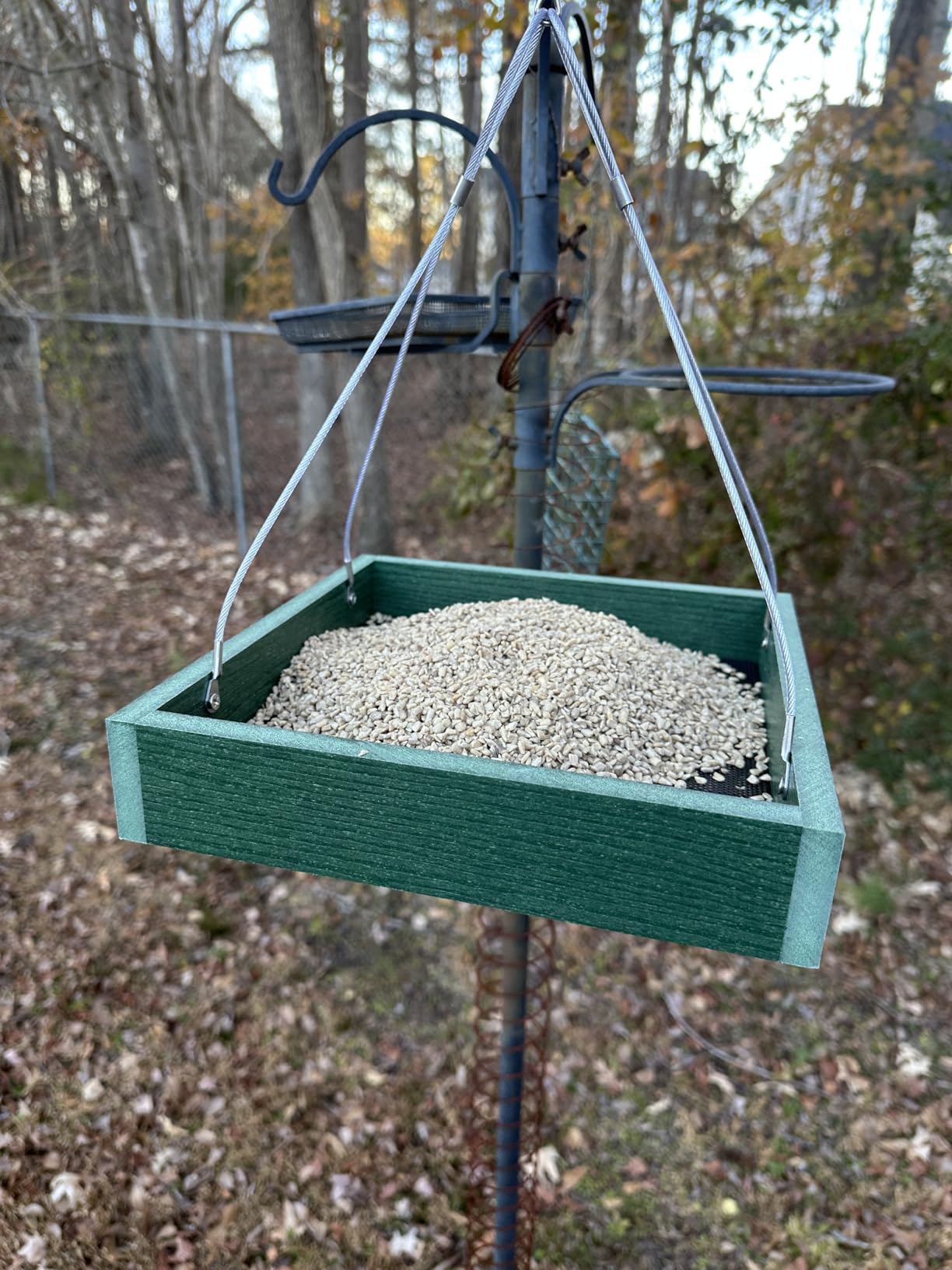 Gtongoko WPC Composite Platform Bird Feeder Hanging, Large 3.5 lbs Capacity, Durable, Seed Tray Bird Feeder for Outdoors with Metal Mesh Bottom Weather-Resistant for Garden Yard, Green customer photo 2