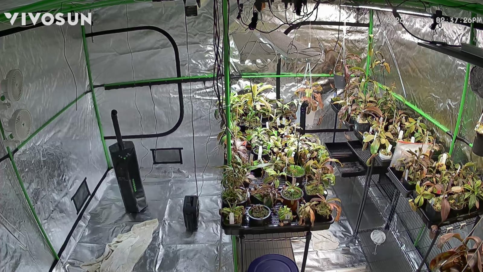 VIVOSUN AeroFlux 700W PTC Grow Tent Heater with Thermostat, APP & VPD | 700W PTC 40% stronger; 5 levels; smart thermostat, VPD; APP; V0, tip-over, overheat; for grow tents, rooms, greenhouses customer photo 1