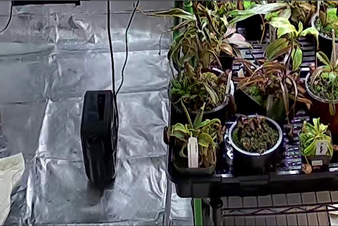 VIVOSUN AeroFlux 700W PTC Grow Tent Heater with Thermostat, APP & VPD | 700W PTC 40% stronger; 5 levels; smart thermostat, VPD; APP; V0, tip-over, overheat; for grow tents, rooms, greenhouses customer photo 2