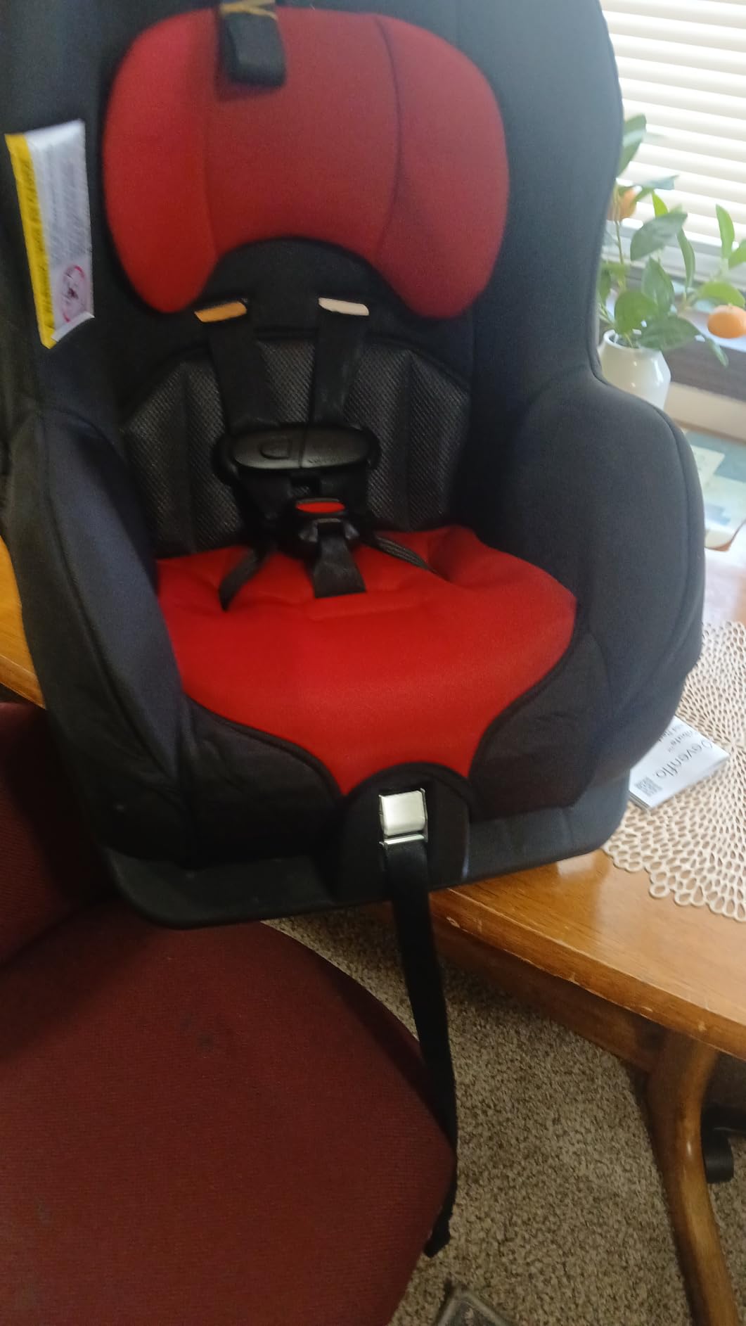Evenflo Tribute LX Convertible Car Seat, Saturn Gray customer photo 1