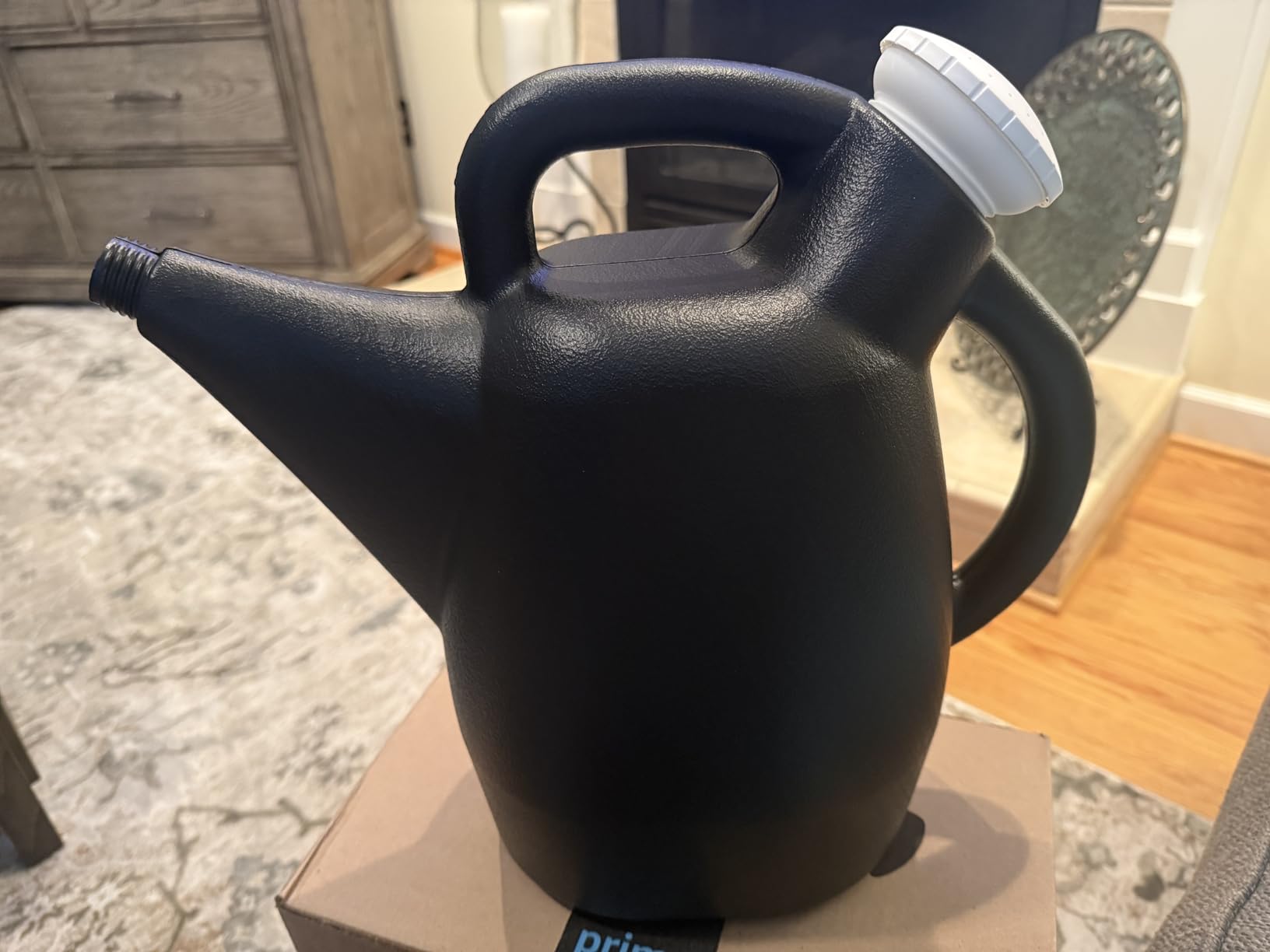 Chapin 1/2-Gallon Watering Can, Lightweight for Easy Watering | Lightweight compact design; ideal for indoor plants watering with large opening for easy refill and controlled pour customer photo 1