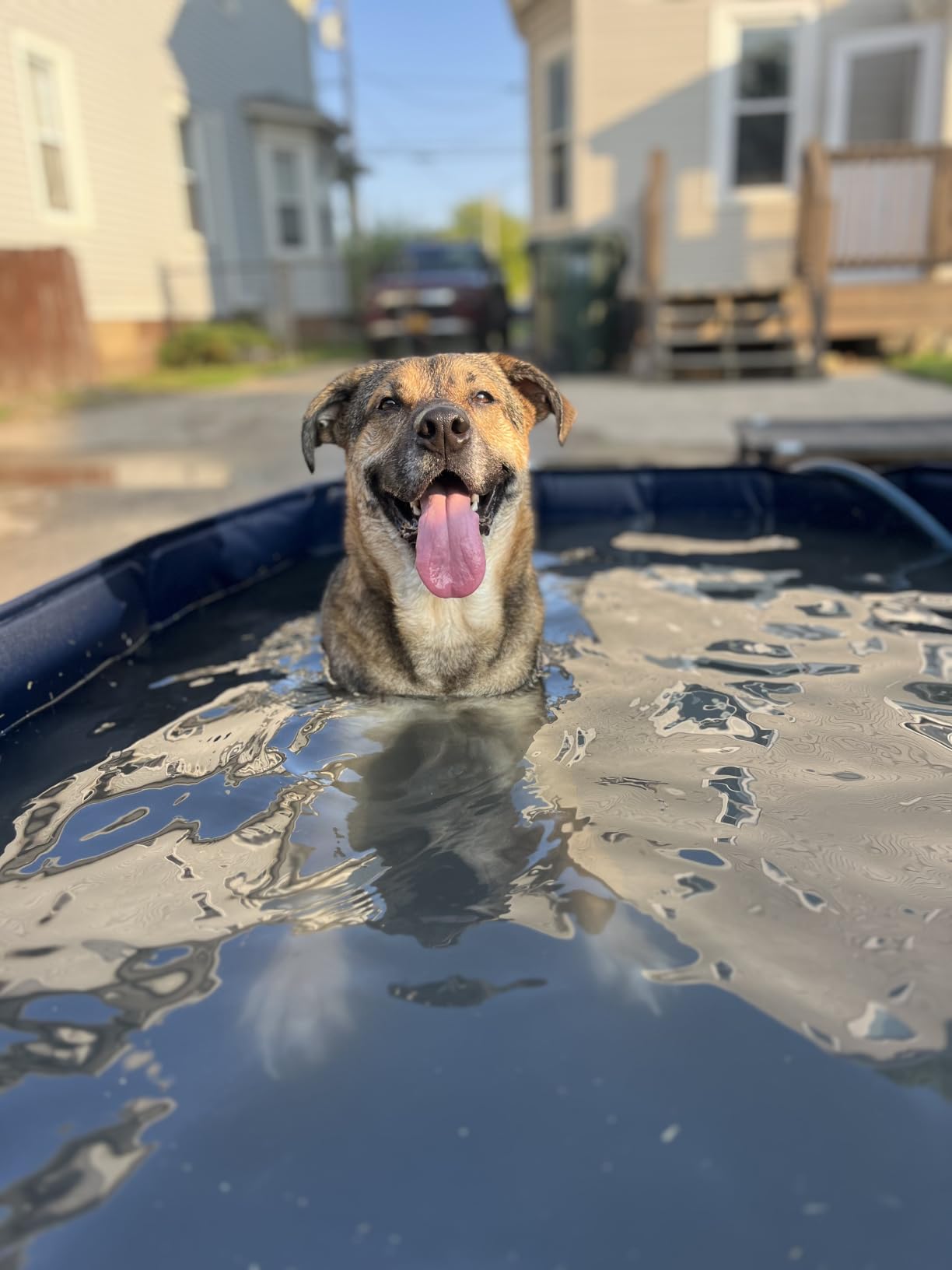 Raxurt Foldable Dog Pool, 82'' Extra Large Dog Pool for Large Dogs with Non-Slip & Reinforced Support Boards, Portable Pet Bath Tub for Outdoor Backyard Use customer photo 1