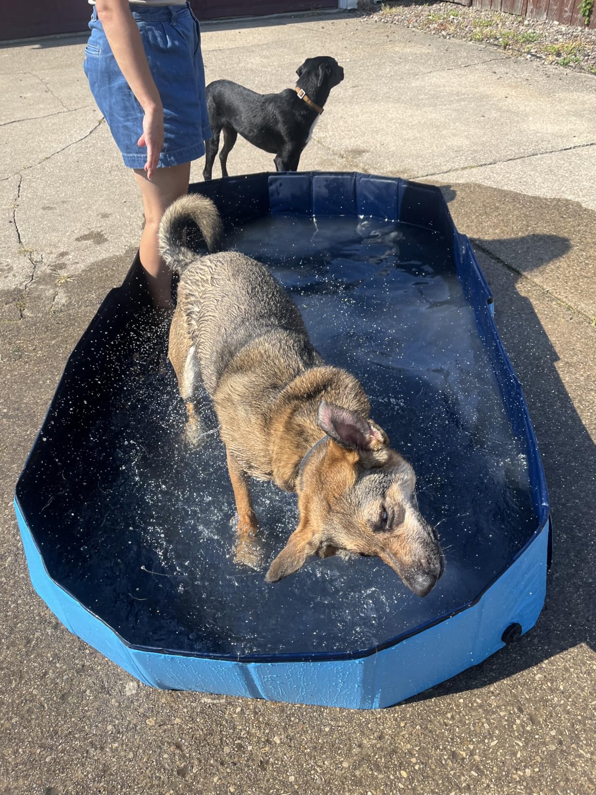 Raxurt Foldable Dog Pool, 82'' Extra Large Dog Pool for Large Dogs with Non-Slip & Reinforced Support Boards, Portable Pet Bath Tub for Outdoor Backyard Use customer photo 2
