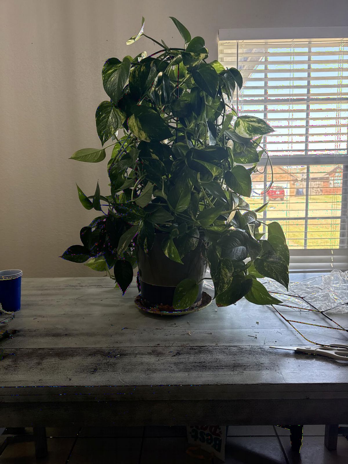 B0GD6NPP5M customer photo 2