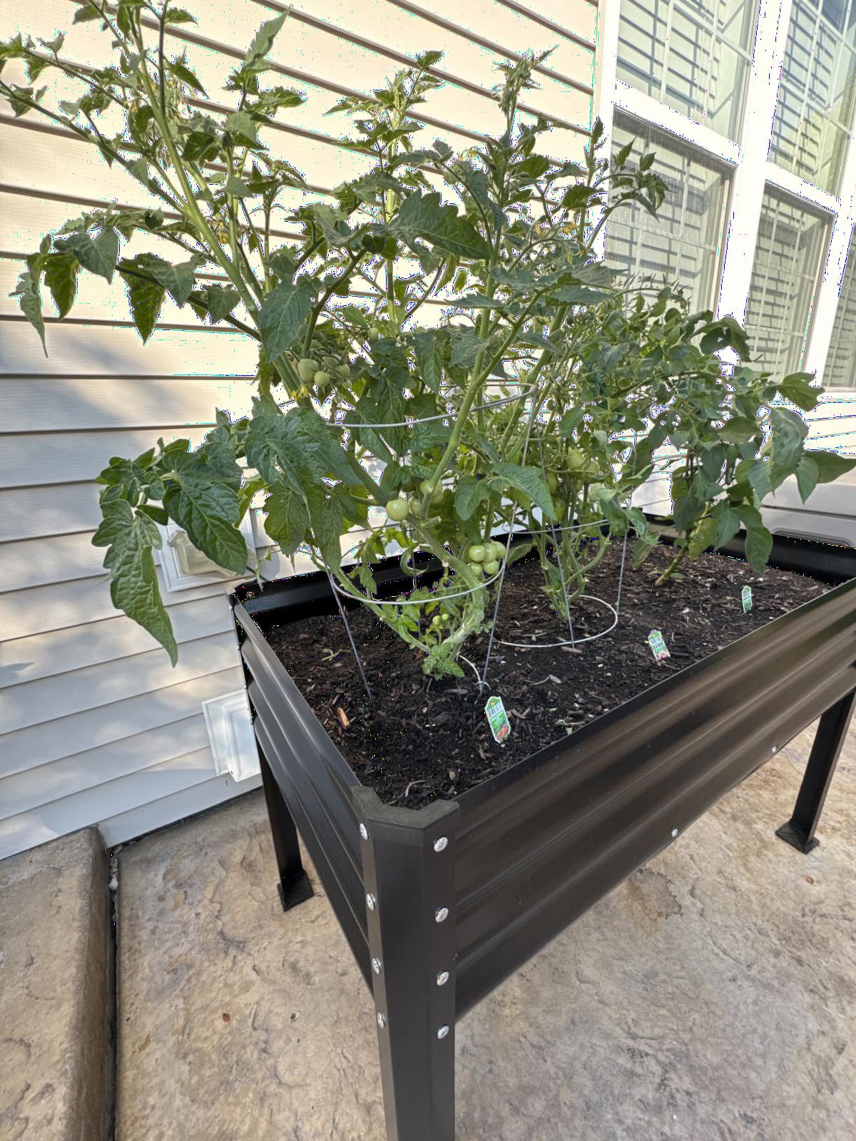 Large Galvanized Raised Garden Bed Outdoor with Legs, Load Capacity 1200LB, 48x26x30in Raised Garden Bed, for Backyard/Patio/Balcony/Gardening/Vegetables Flowers, Black customer photo 2