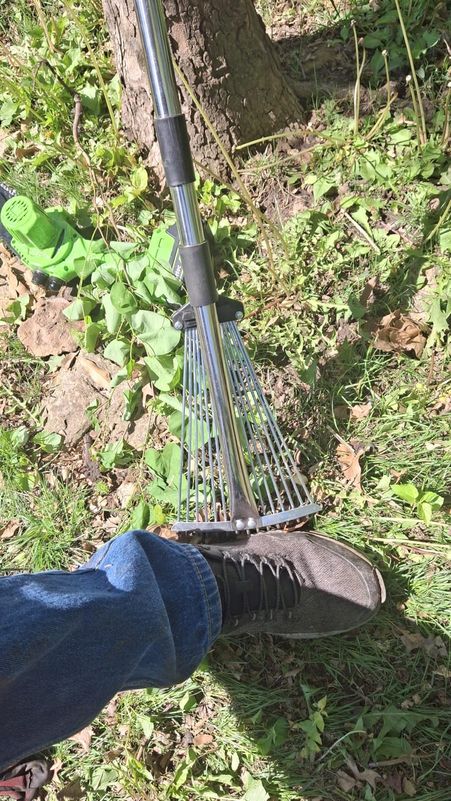 Dethatcher Rake 15-Inch Lawn Thatching Rake, 19-Tine Heavy-Duty Steel Dethatching Rake with Adjustable Head & Long Handle, Durable Thatch Rake for Removing Dead Grass, Moss & Lawn Debris customer photo 1