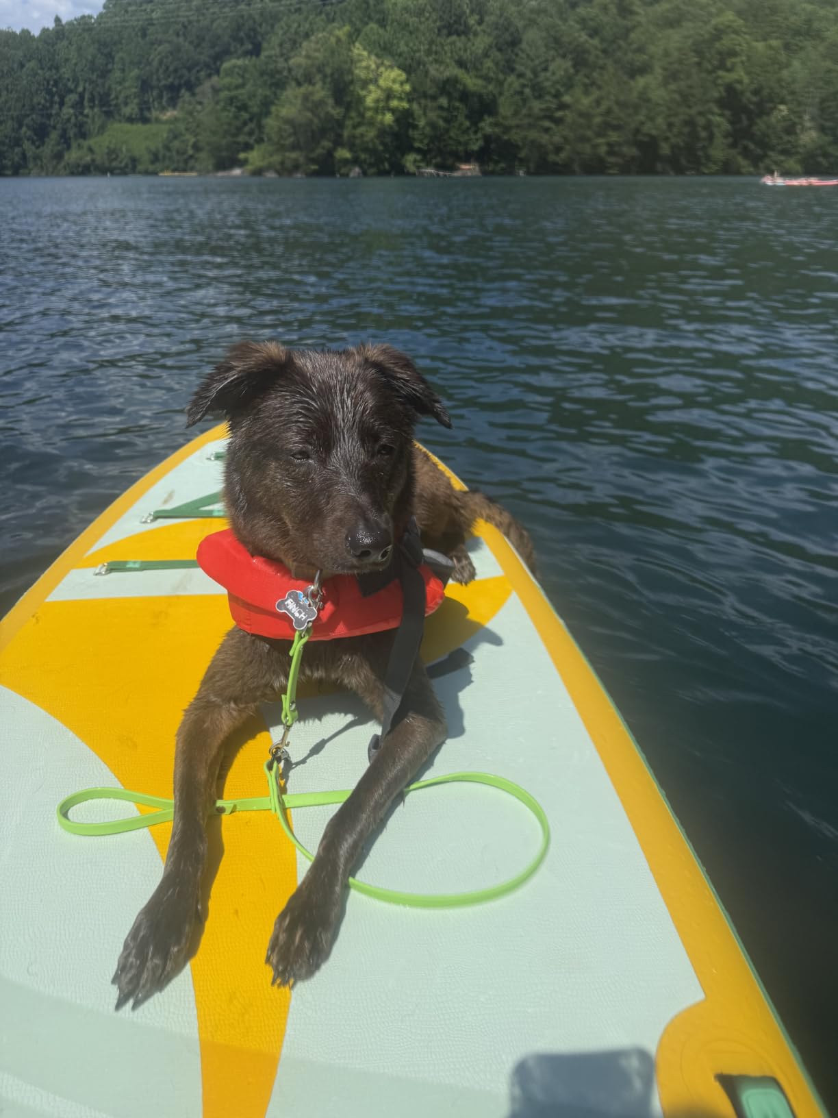 11'6/11'x35 Extra Wide Inflatable Paddle Board, 450/430lb Capacity Stand Up Paddle Board for Adults (x3), Stable Inflatable SUP, All Skill Levels, 3/5 Handles, 100L Backpack, 3PCS Paddle, 5L Dry Bag customer photo 1