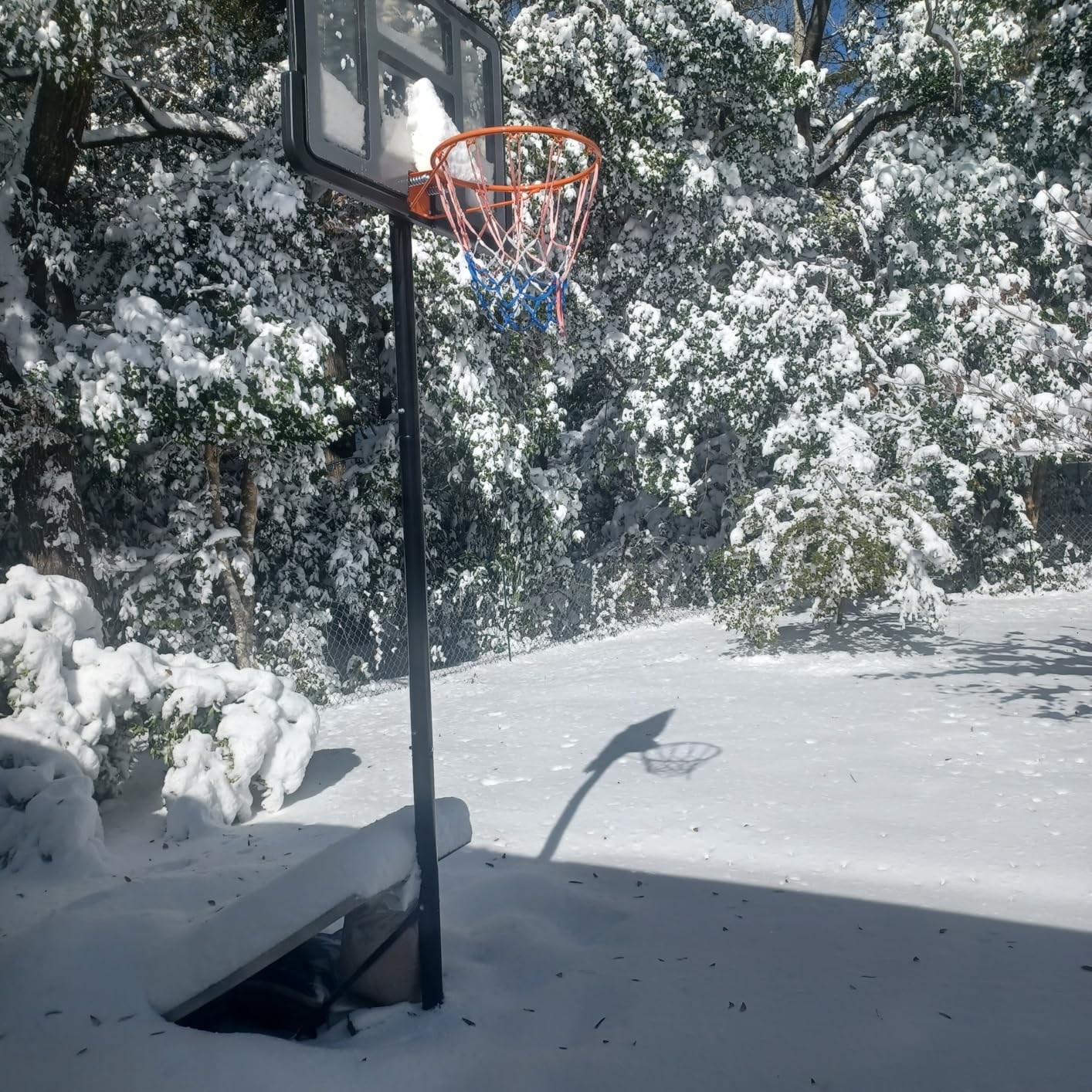 Portable Basketball Hoop, 5.6-10FT Adjustable Basketball Goal System, 40/44 Inch Outdoor Basketball Hoop & Goals for Kids, Youth, and Adults in The Backyard, Driveway with PC Backboard customer photo 2