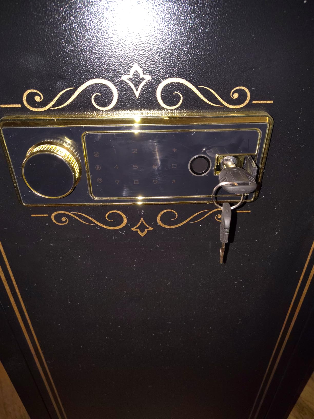 KAER 8-12 Fingerprint Long Gun Safe for Rifles & Pistols | Password Lock | Adjustable Shelves | Perfect for Apartments, Homes, Offices | Secure Storage and Quick Access Gun Cabinet customer photo 2