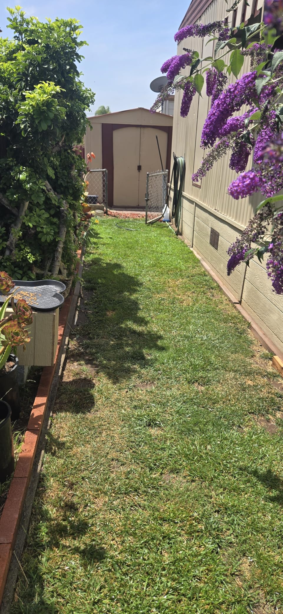 40V Electric Lawn Mower 16