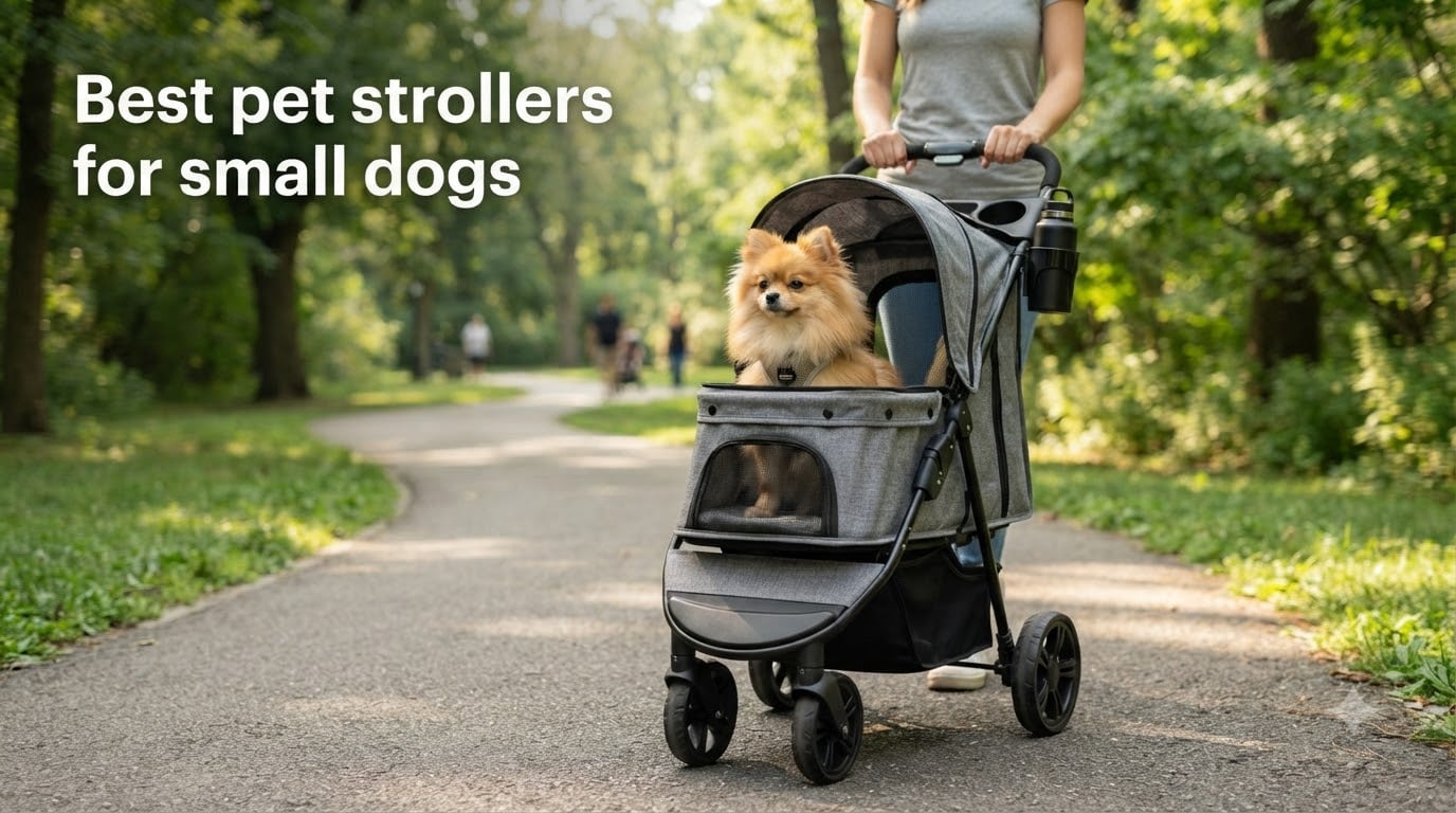 Best pet strollers for small dogs