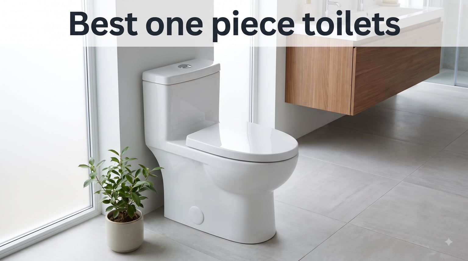 Best one piece toilets