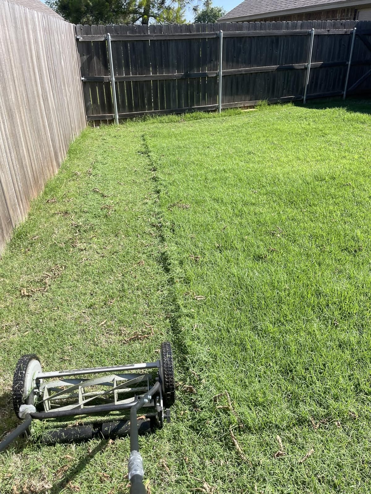 American Lawn Mower 1815-18 18-Inch 5-Blade Push Reel Lawn Mower, Black customer photo 1