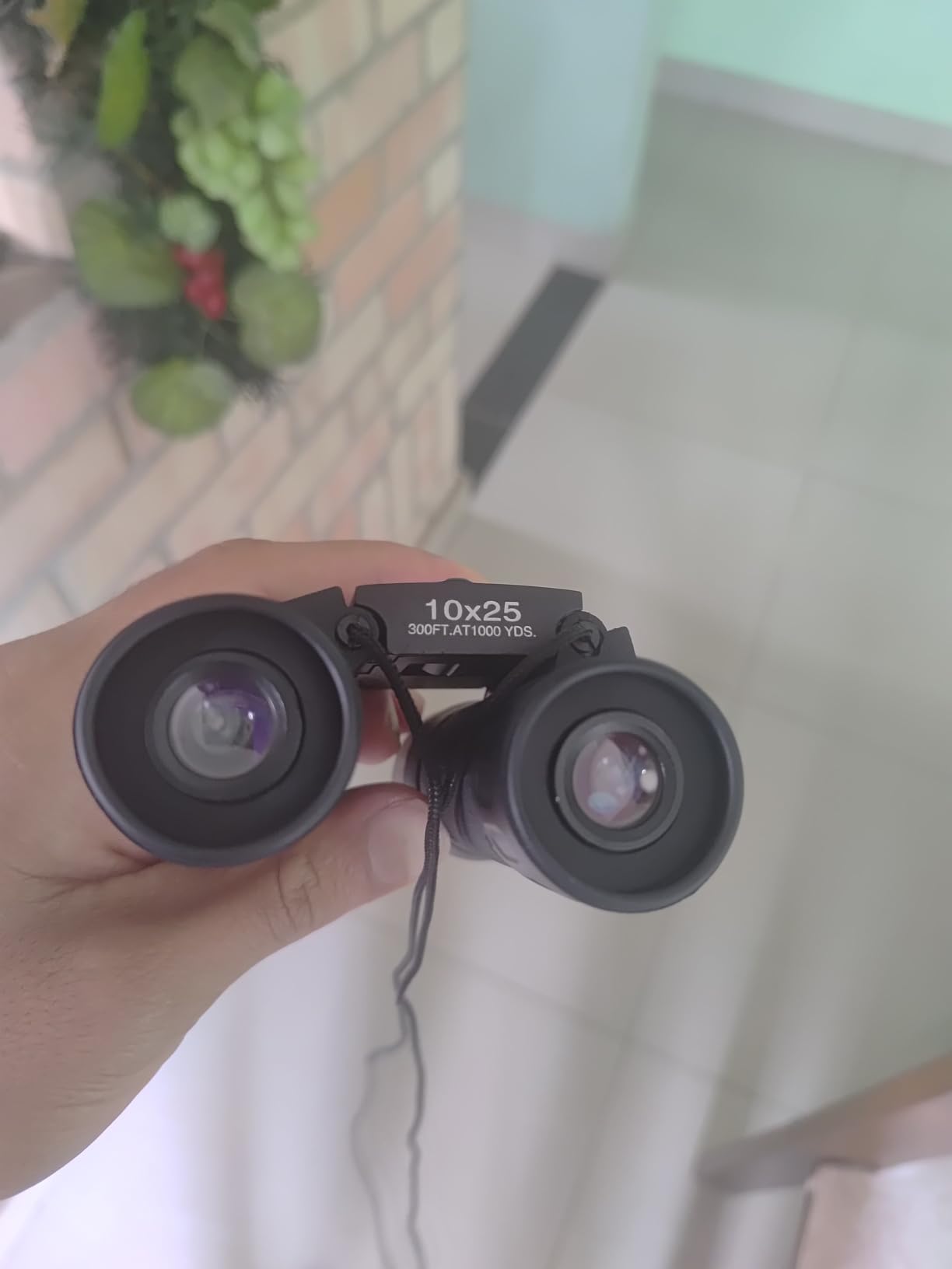 Bushnell Powerview 10x25 Compact Binoculars customer photo 2