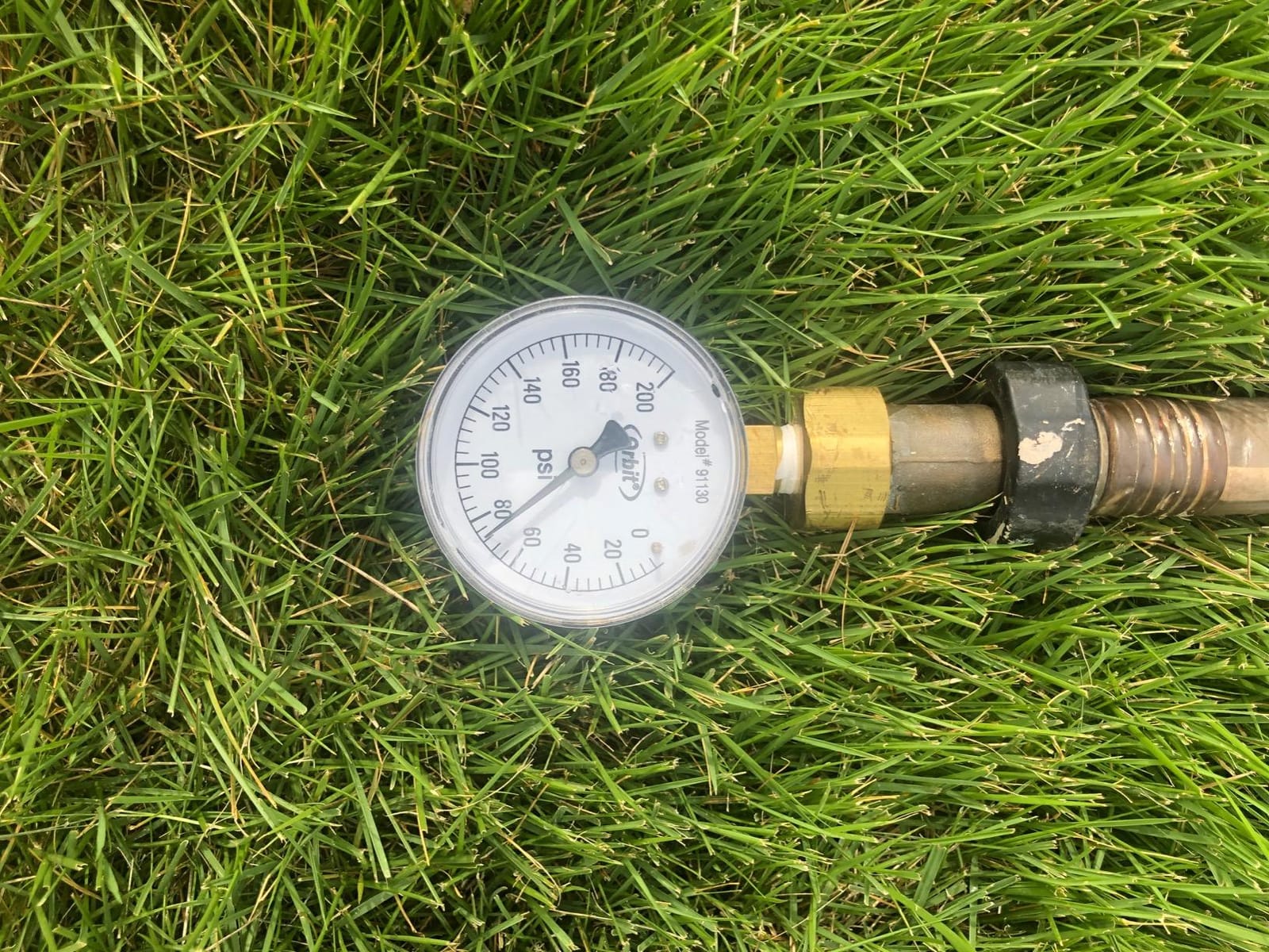 WAYNE PLS100-1 HP Portable Stainless Steel Lawn Sprinkling Water Pump - Up to 850 Gallons Per Hour - Heavy Duty Outdoor Pump for Sprinkler Systems customer photo 1