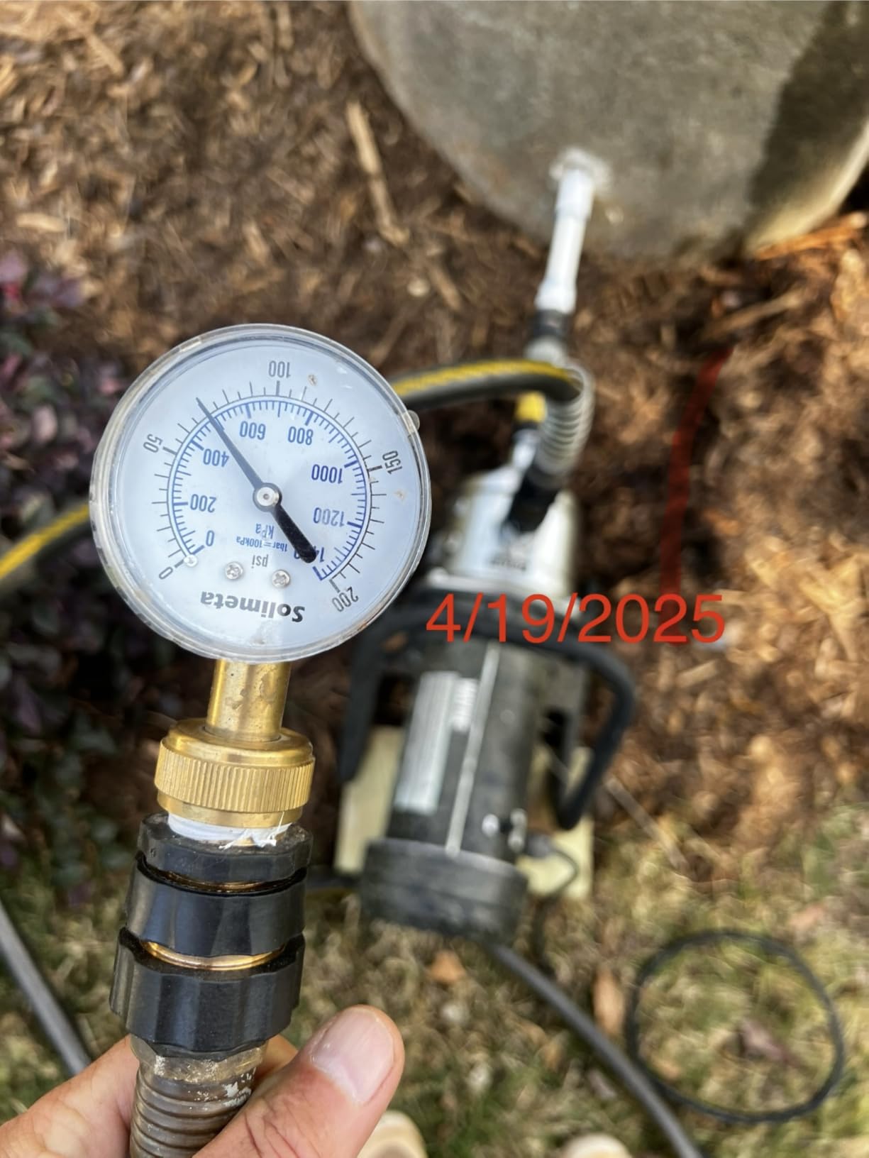 WAYNE PLS100-1 HP Portable Stainless Steel Lawn Sprinkling Water Pump - Up to 850 Gallons Per Hour - Heavy Duty Outdoor Pump for Sprinkler Systems customer photo 2