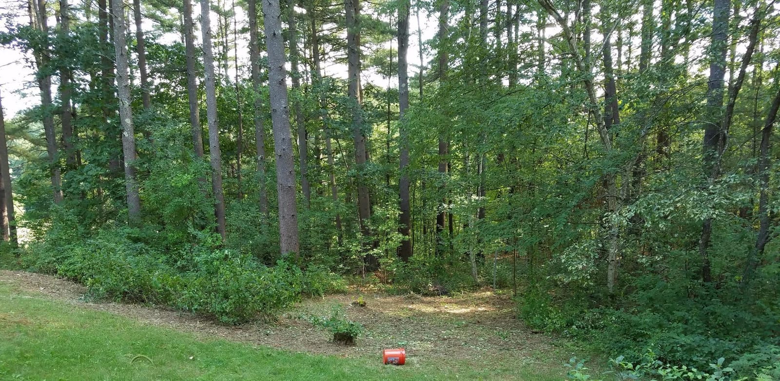 Desert Extrusion Cyclone CY155S3 315-Ft Trimmer Line, Red - Made in USA customer photo 2